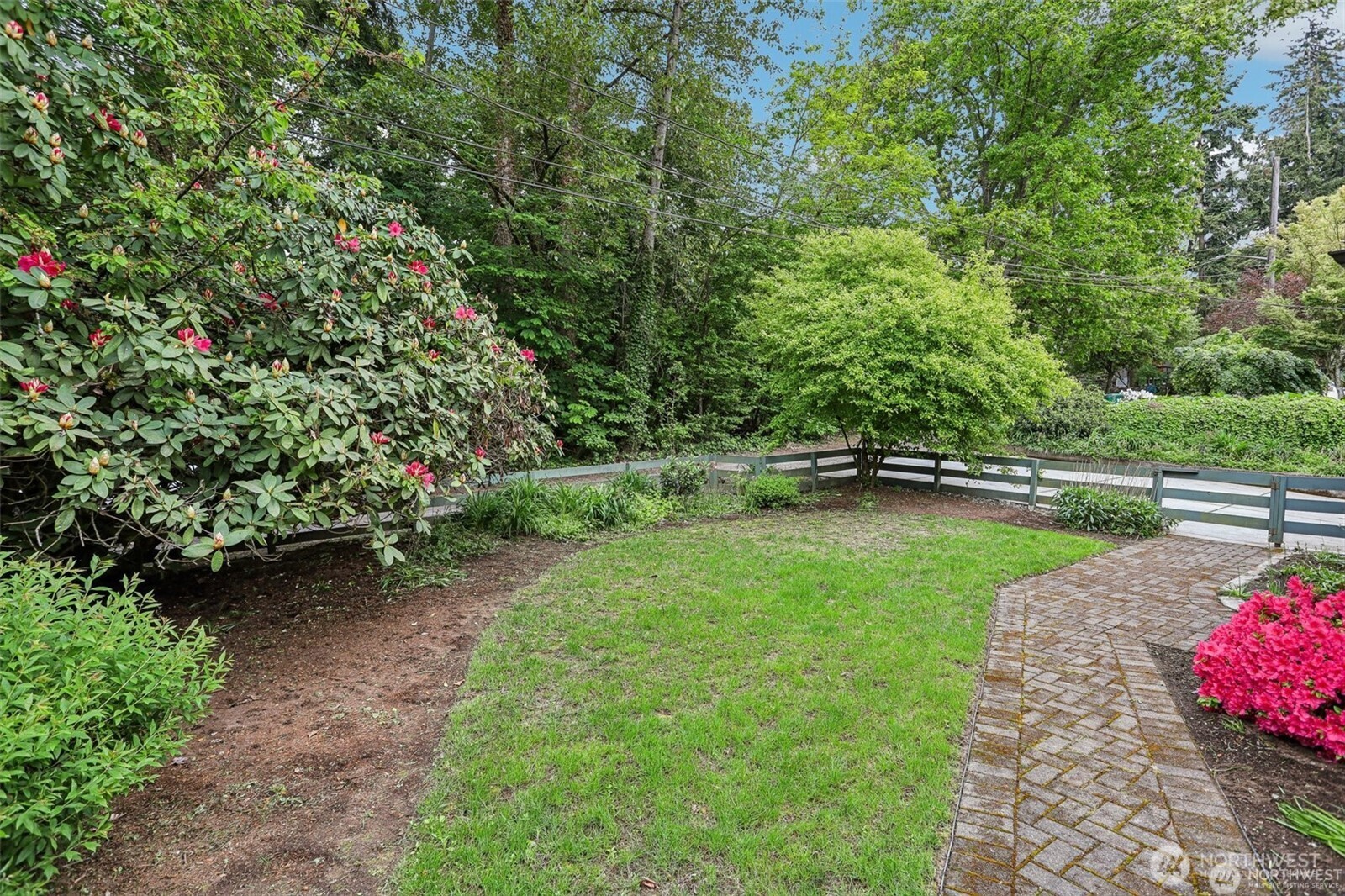 3532 Northeast 97th Street Seattle, WA 98115 - Photo 21 of 27 a view of a park with large trees