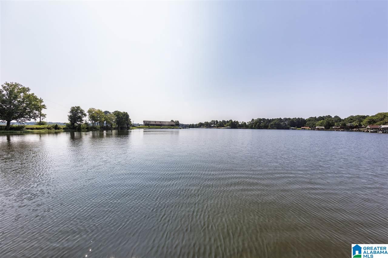 708 Cove Point Drive Riverside, AL 35135 - Photo 21 of 50