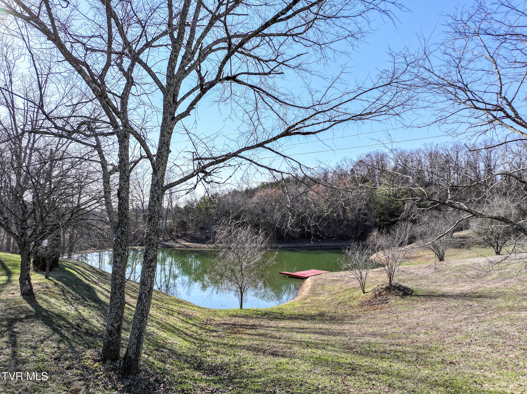 165 Pleasant View Road Bulls Gap, TN 37711 - Photo 43 of 48 38