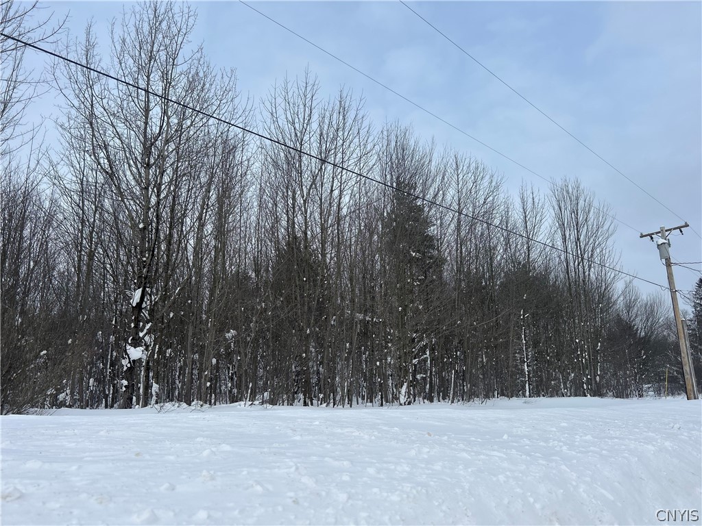 0 Co Rt 15 Lacona, NY 13083 - Photo 3 of 7