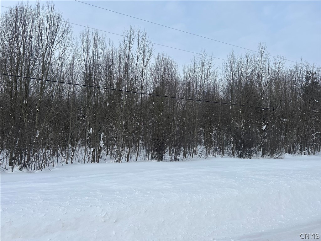 0 Co Rt 15 Lacona, NY 13083 - Photo 4 of 7