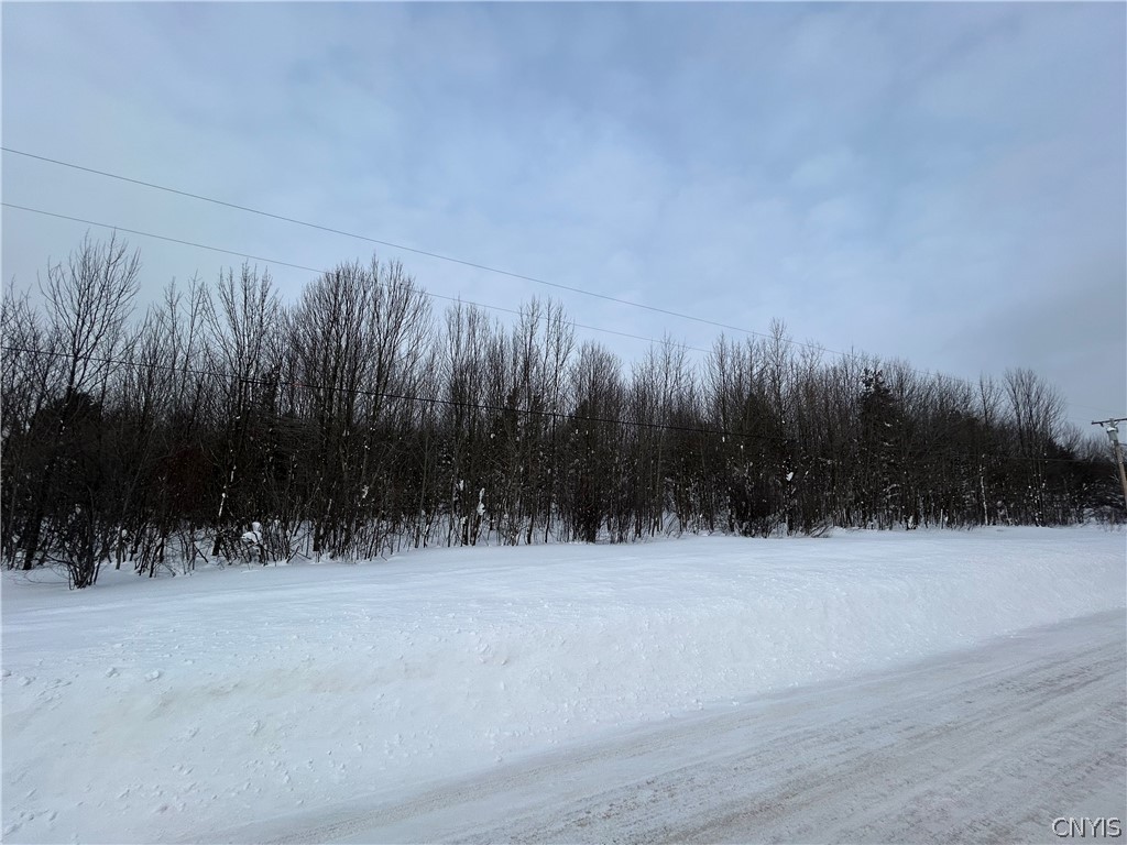 0 Co Rt 15 Lacona, NY 13083 - Photo 5 of 7