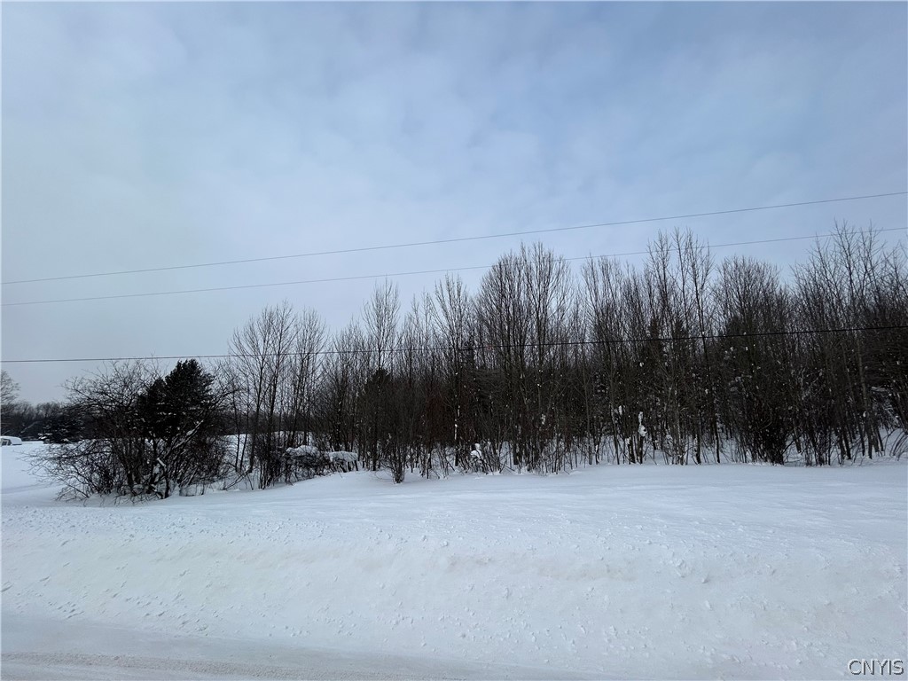 0 Co Rt 15 Lacona, NY 13083 - Photo 6 of 7