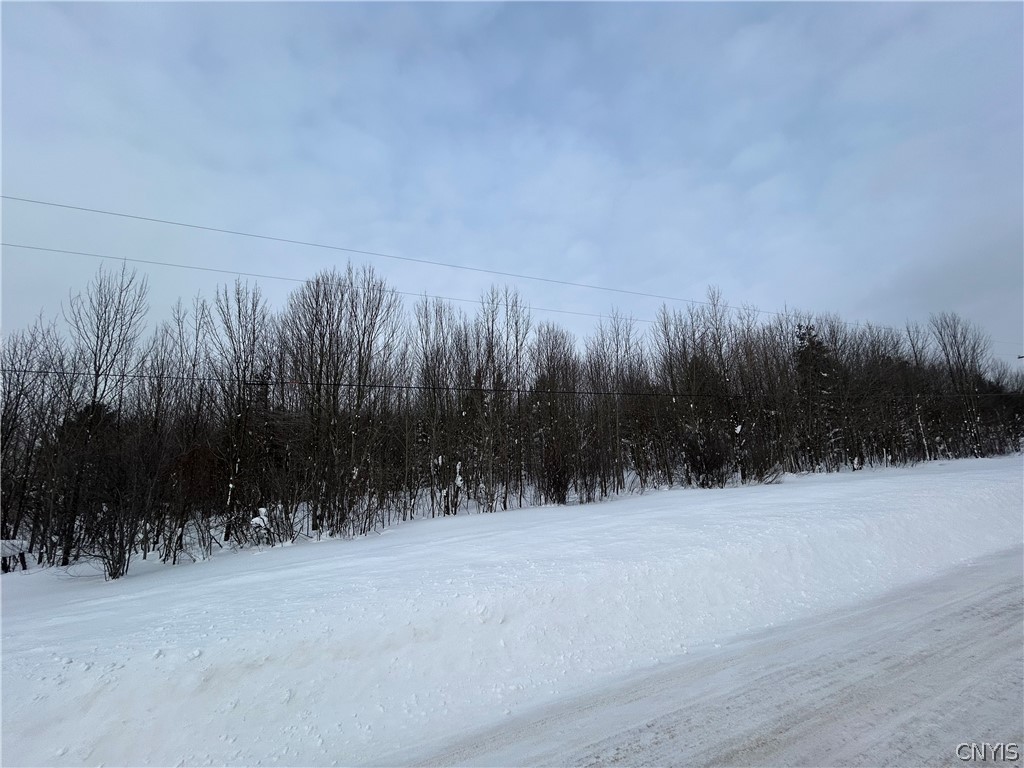 0 Co Rt 15 Lacona, NY 13083 - Photo 7 of 7