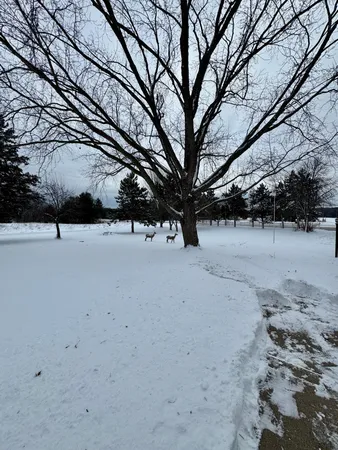 $3,200 | 3663 125th Avenue Northeast, Blaine, MN 55449