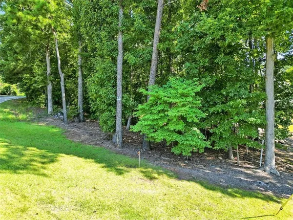 a view of a backyard with a fountain