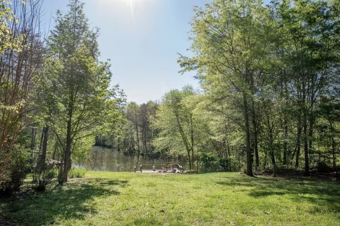 298 Eagle Lake Road Coalmont, TN 37313 - Photo 32 of 38 a view of green field with trees in the background