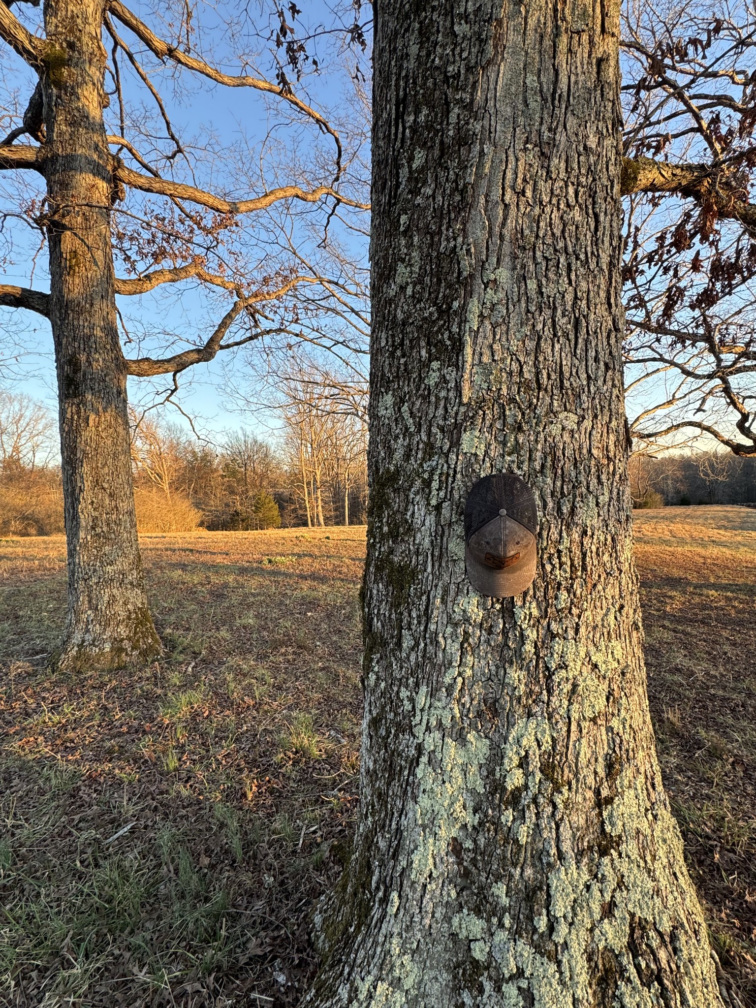 2340 Ridge Road McEwen, TN 37101 - Photo 3 of 72 a view of a yard with wooden fence