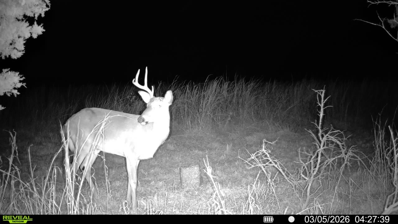 2340 Ridge Road McEwen, TN 37101 - Photo 32 of 72