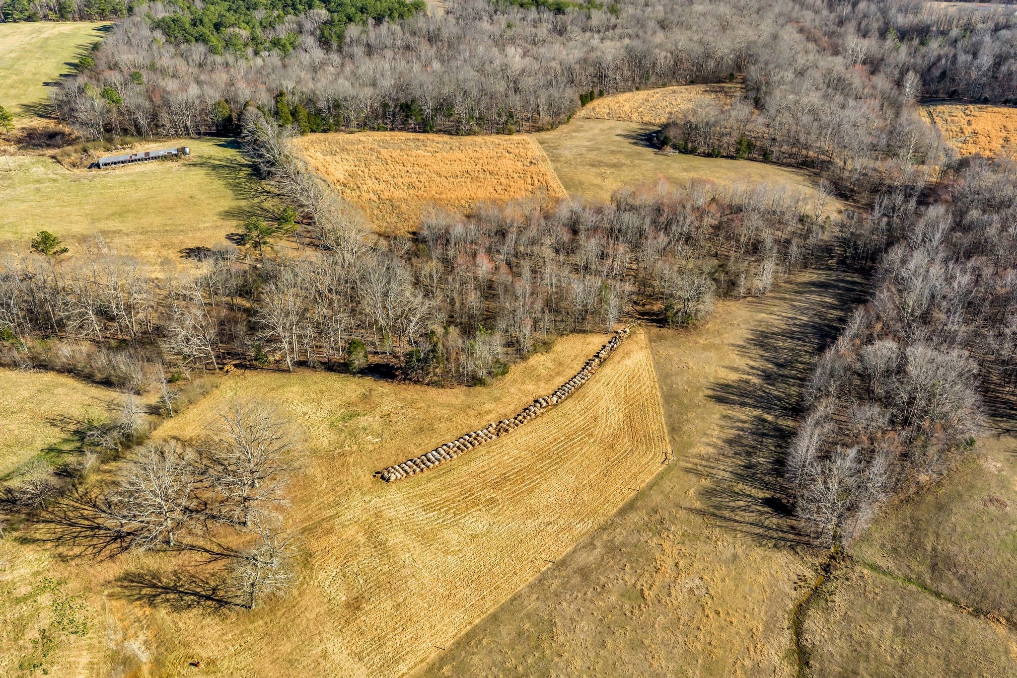 2340 Ridge Road McEwen, TN 37101 - Photo 35 of 72 a view of a yard with wooden fence