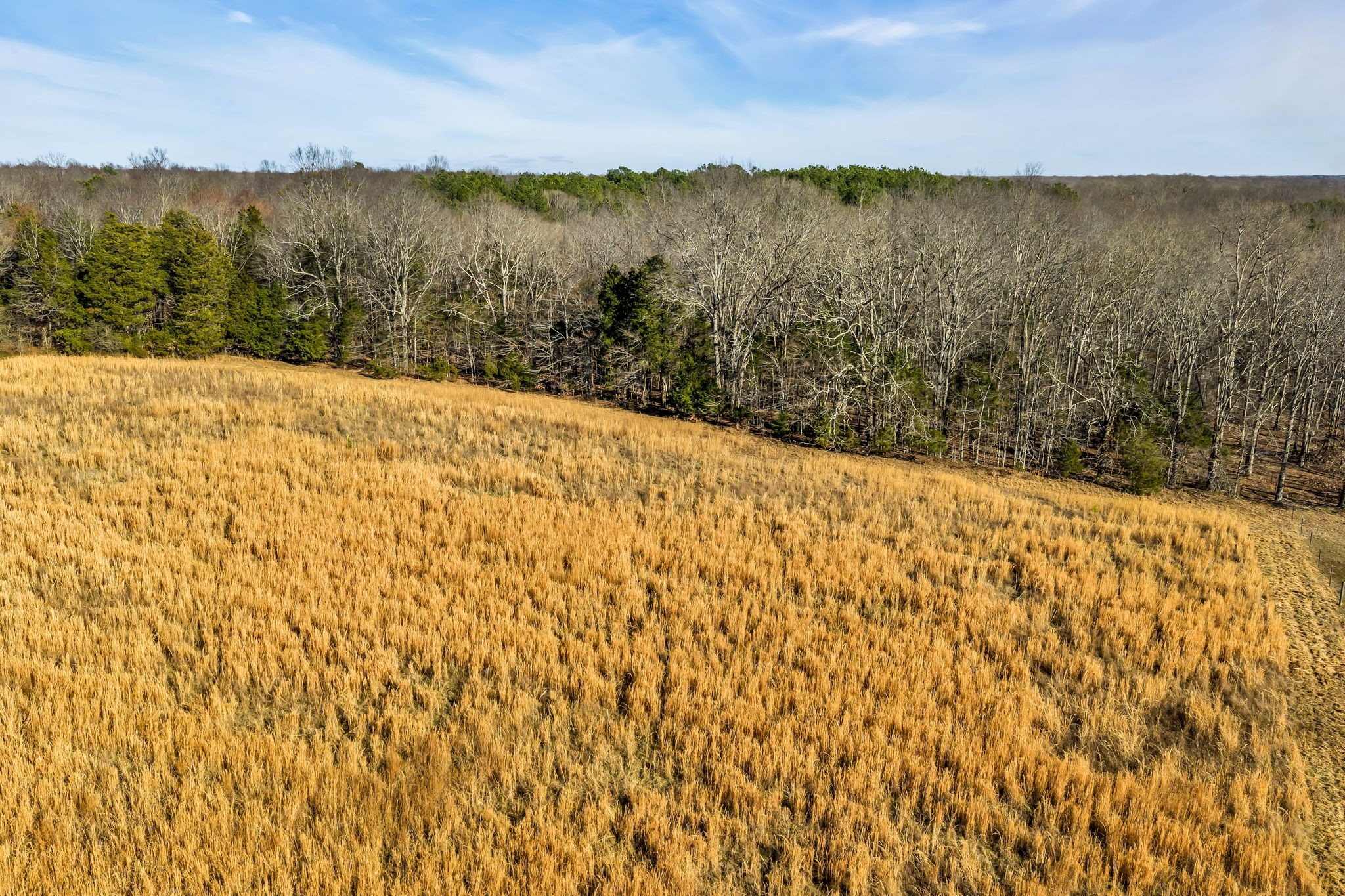 2340 Ridge Road McEwen, TN 37101 - Photo 39 of 72 a view of lake