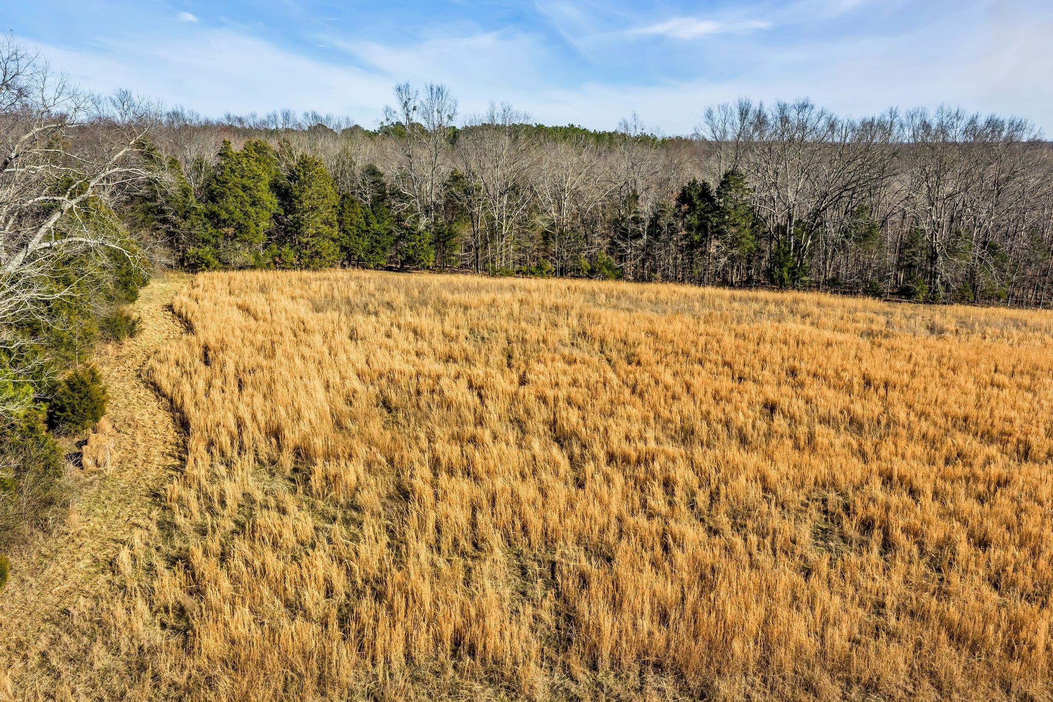 2340 Ridge Road McEwen, TN 37101 - Photo 40 of 72 a view of outdoor space and mountain view