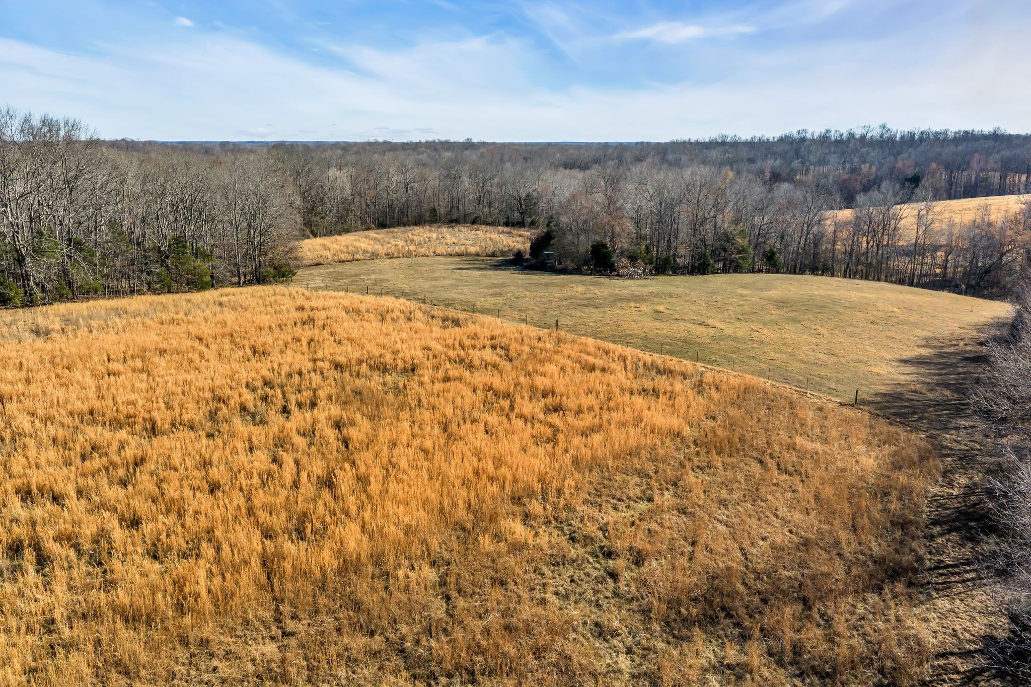 2340 Ridge Road McEwen, TN 37101 - Photo 41 of 72 a view of a backyard