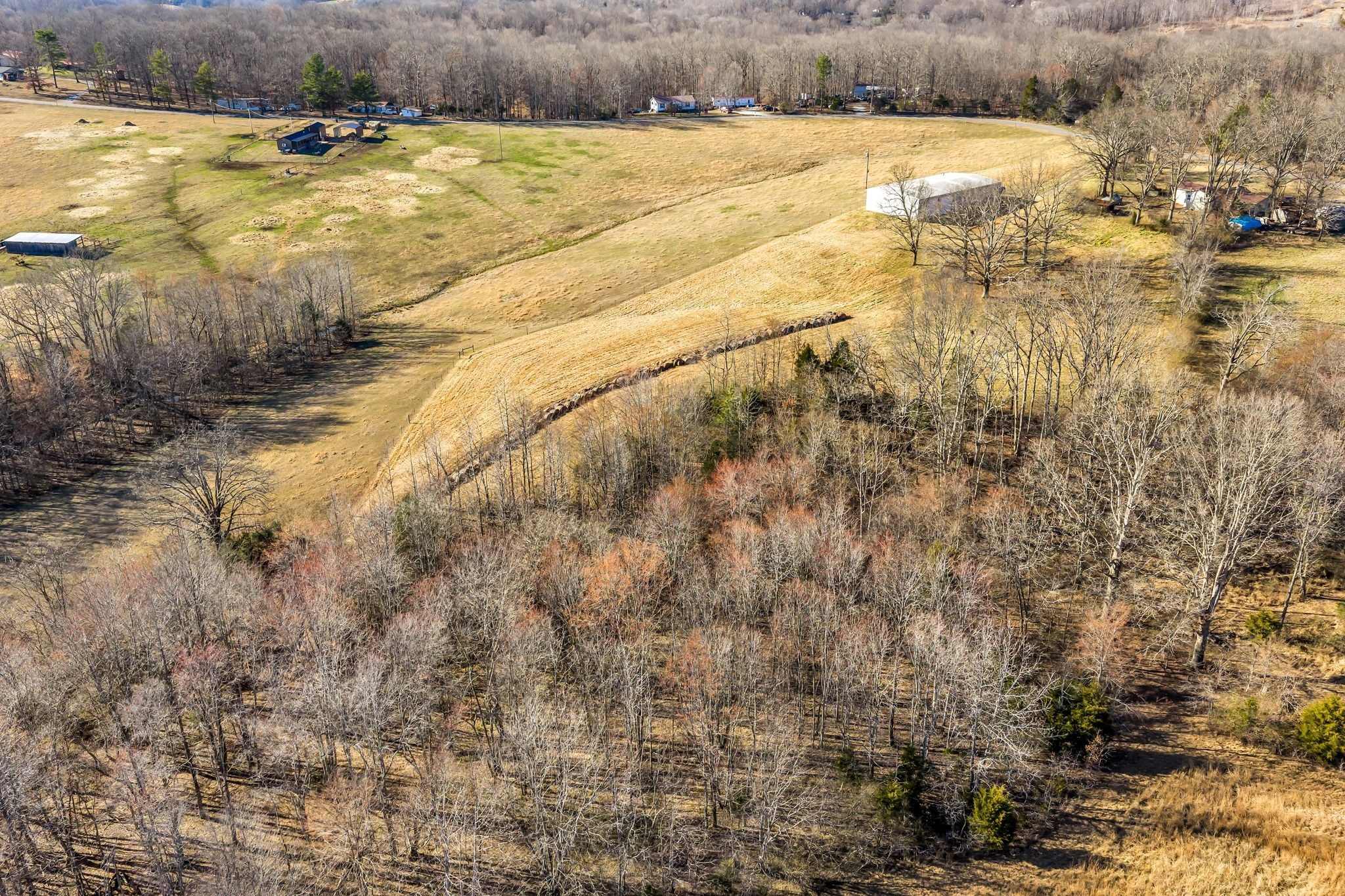 2340 Ridge Road McEwen, TN 37101 - Photo 47 of 72 a view of swimming pool with lawn chairs and large trees