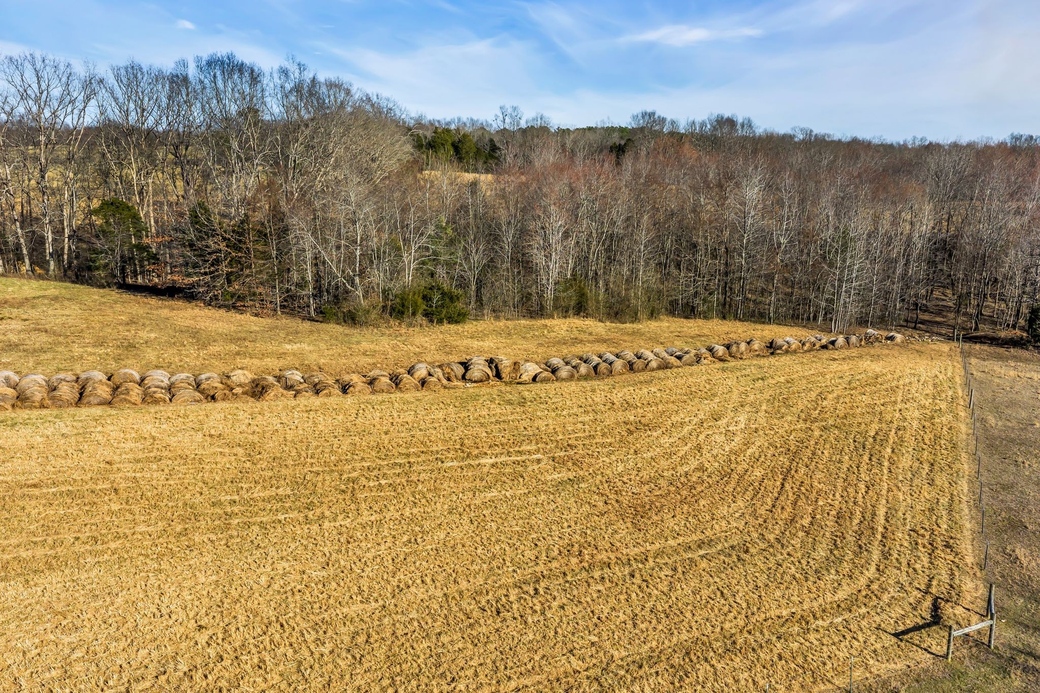 2340 Ridge Road McEwen, TN 37101 - Photo 55 of 72