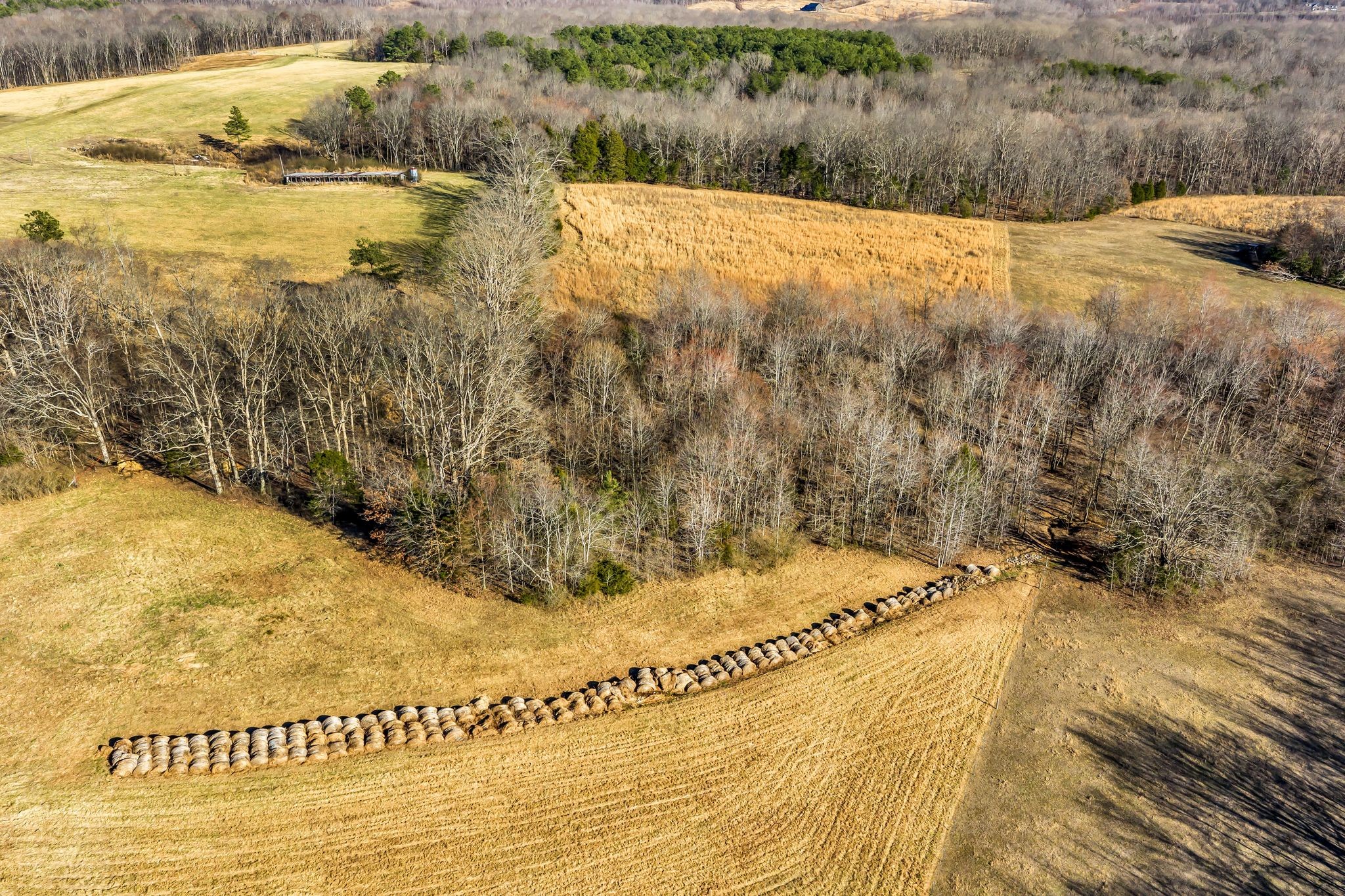 2340 Ridge Road McEwen, TN 37101 - Photo 56 of 72