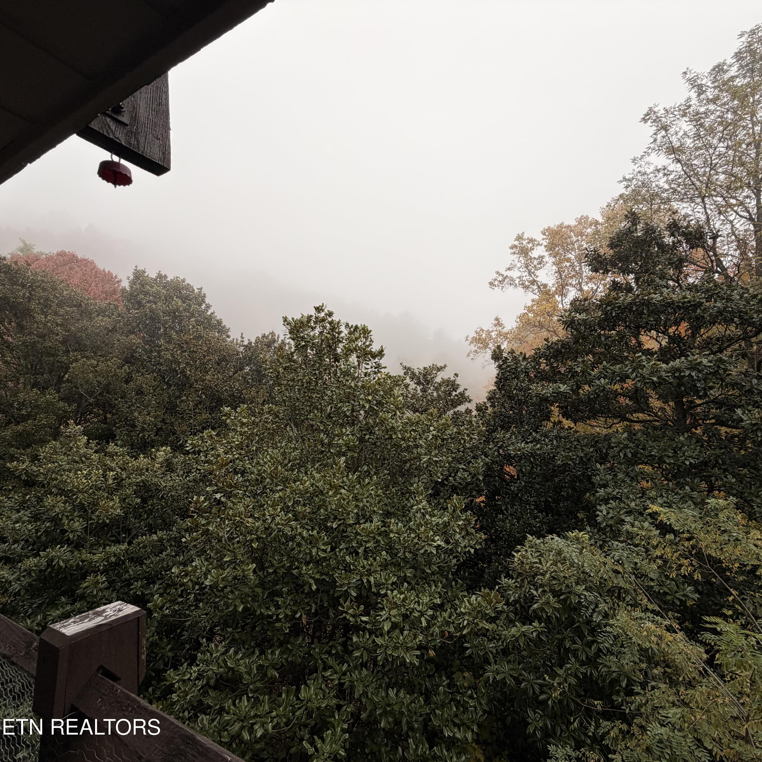 1081 Cove Road, Unit 824 Sevierville, TN 37876 - Photo 11 of 13 11