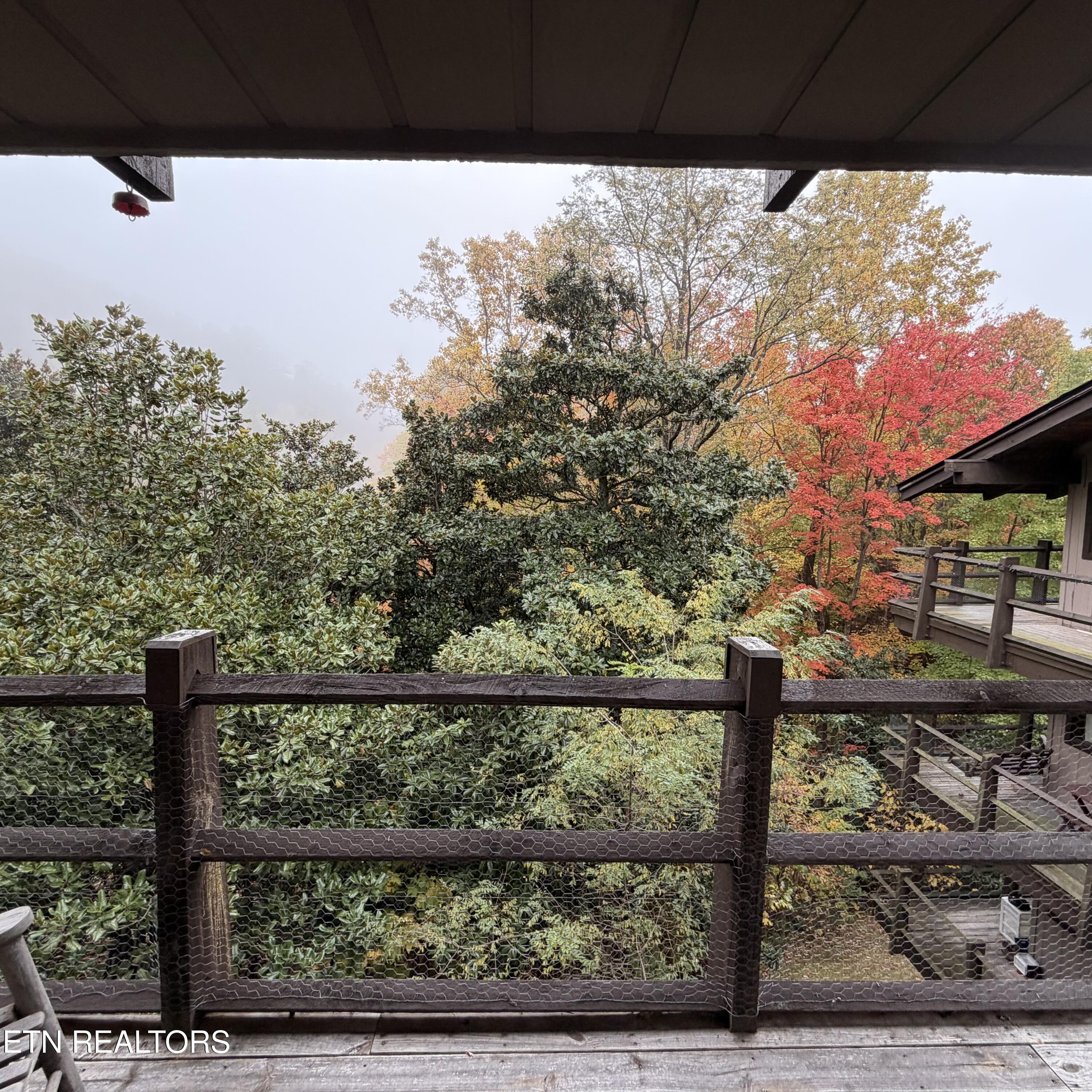 1081 Cove Road, Unit 824 Sevierville, TN 37876 - Photo 10 of 13 10