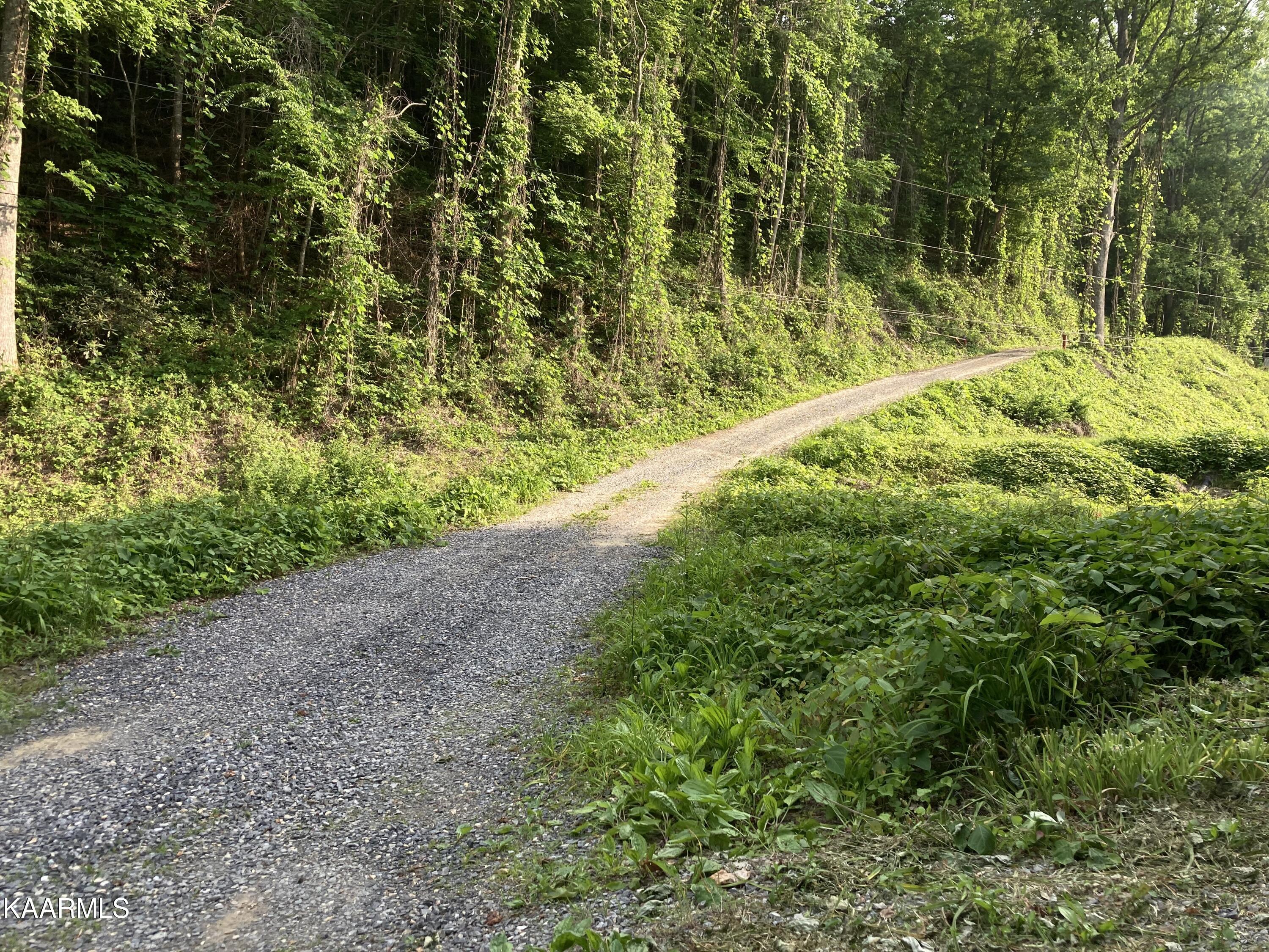 Hollow Road Del Rio, TN 37727 - Photo 2 of 3 IMG_2241