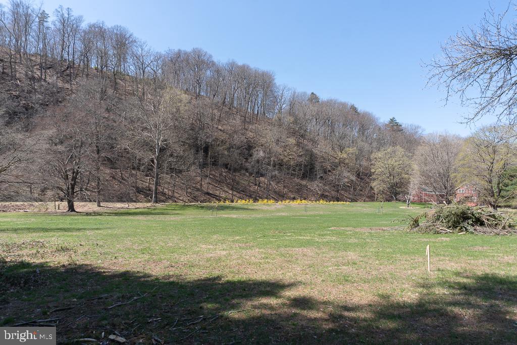 1249 River Road Upper Black Eddy, PA 18972 - Photo 39 of 62 Gallery Image 39