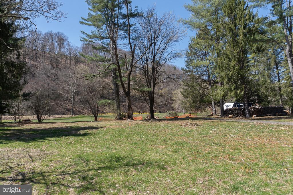 1249 River Road Upper Black Eddy, PA 18972 - Photo 41 of 62 Gallery Image 41