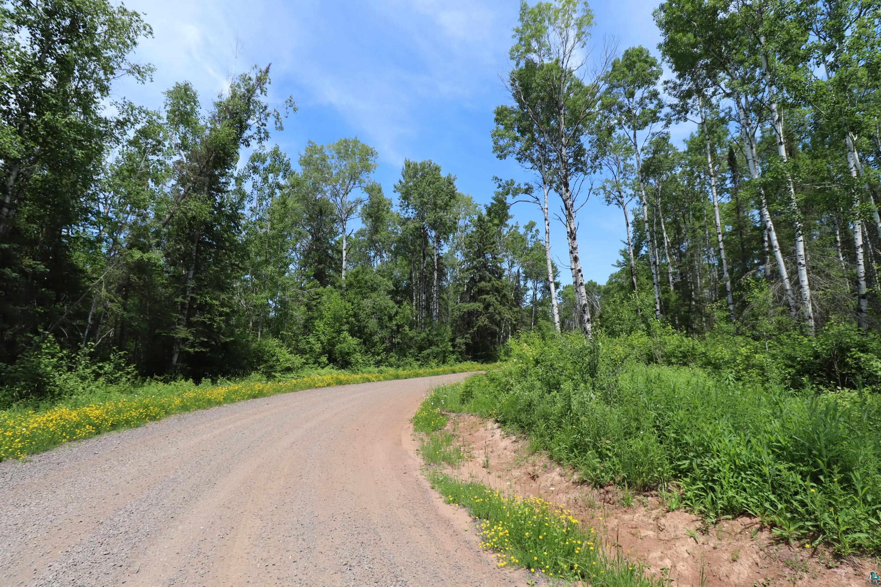 Lot 1 Campbell Road Herbster, WI 54844 - Photo 7 of 14