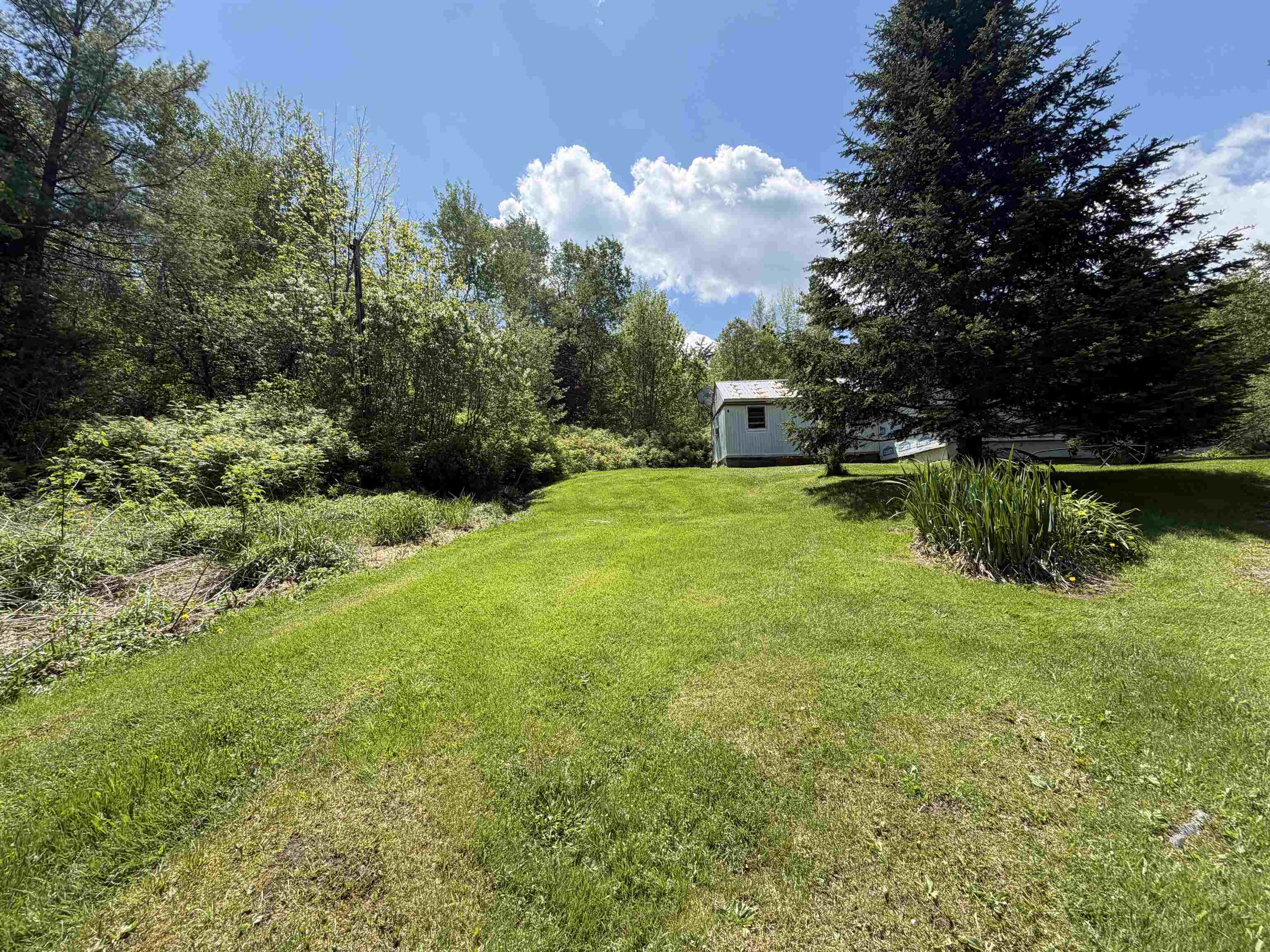 51 Barton Road Piermont, NH 03779 - Photo 5 of 17