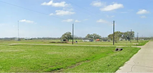 a garden view