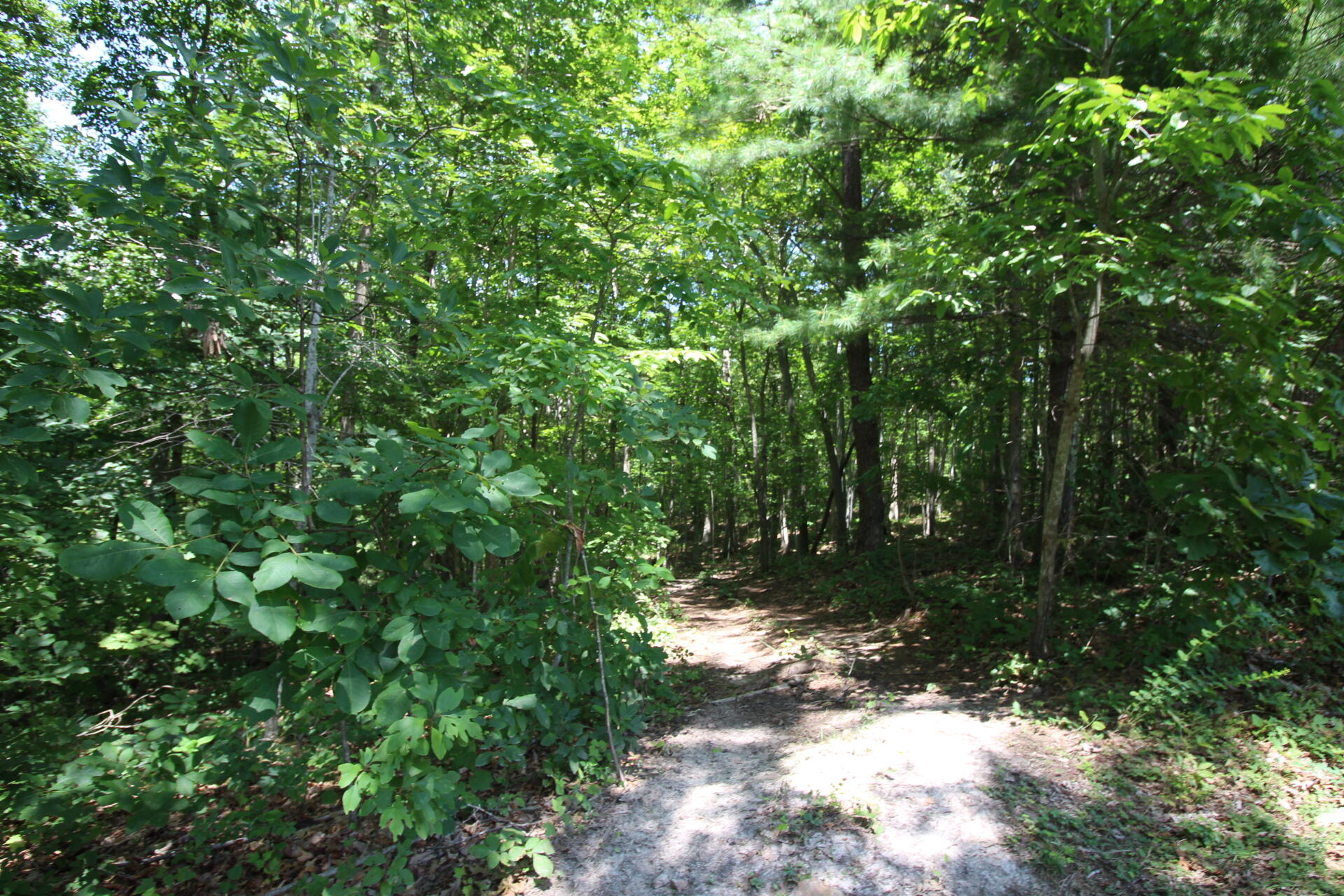 1675 War Ridge Road Ballard, WV 24918 - Photo 8 of 24 Gallery Image 8
