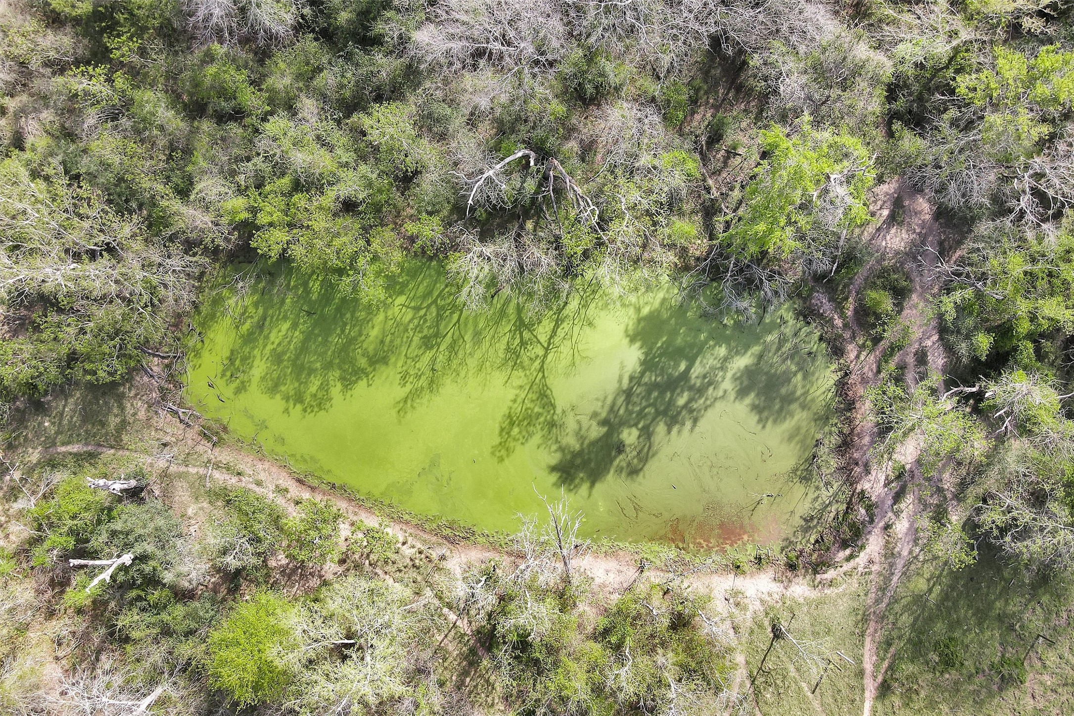 0 Fm 362 Waller, TX 77484 - Photo 4 of 15 Close up of the pond