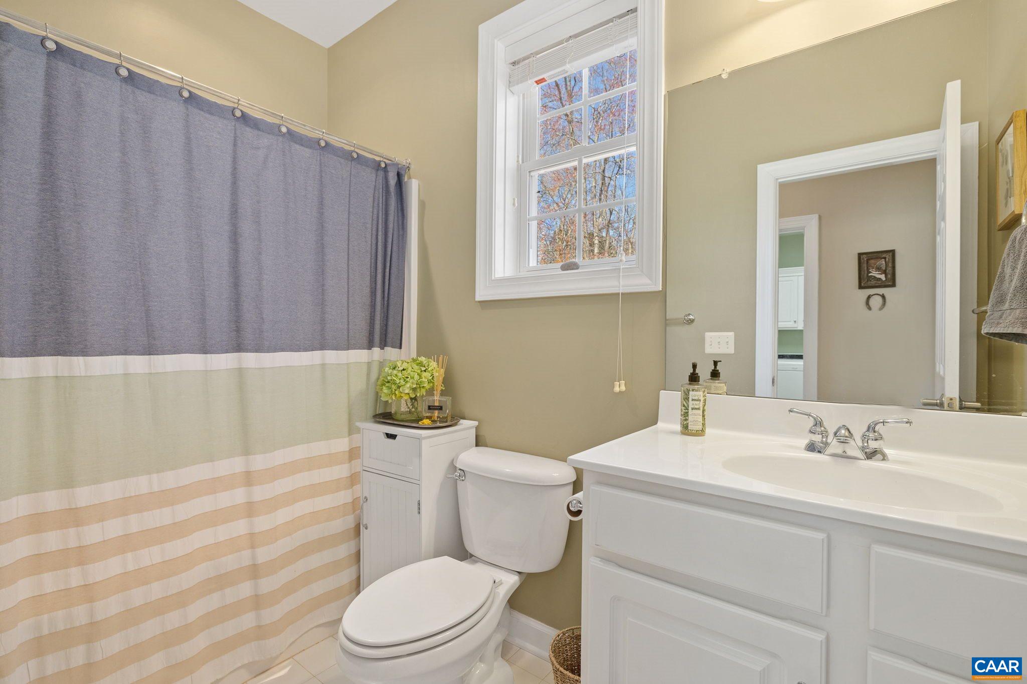 212 Wexford Ridge Road Ruckersville, VA 22968 - Photo 42 of 73 a bathroom with a sink a toilet and shower curtain