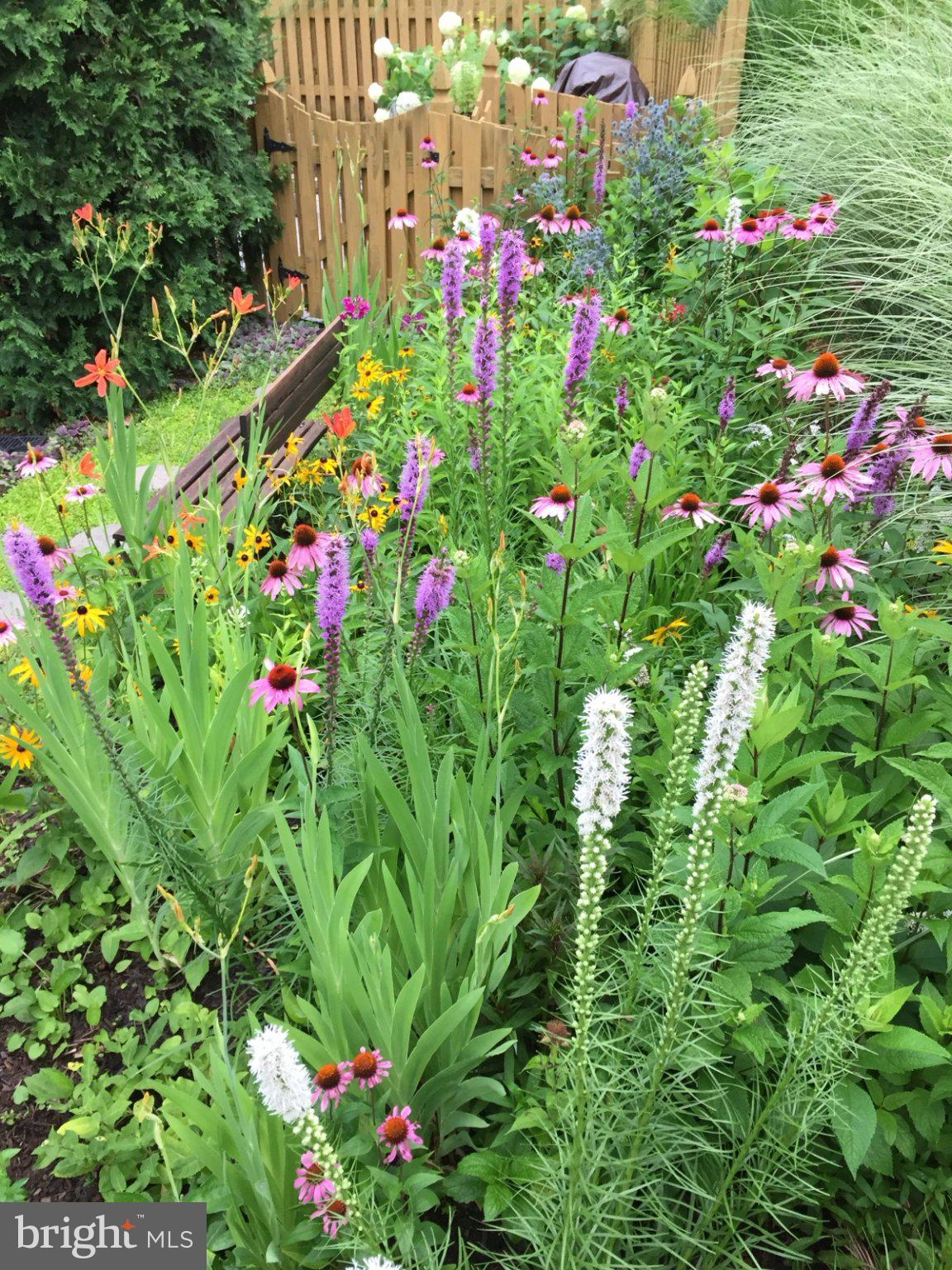 107 Carousel Circle Doylestown, PA 18901 - Photo 29 of 31 a view of flowers in the garden