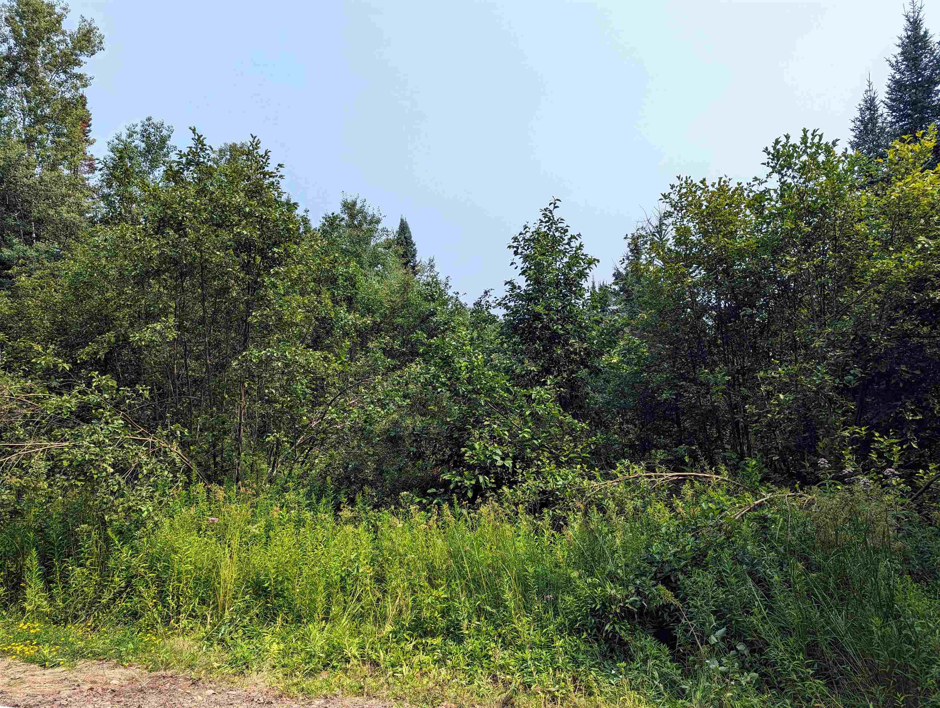 W10402 County Road East Park Falls, WI 54552 - Photo 1 of 1