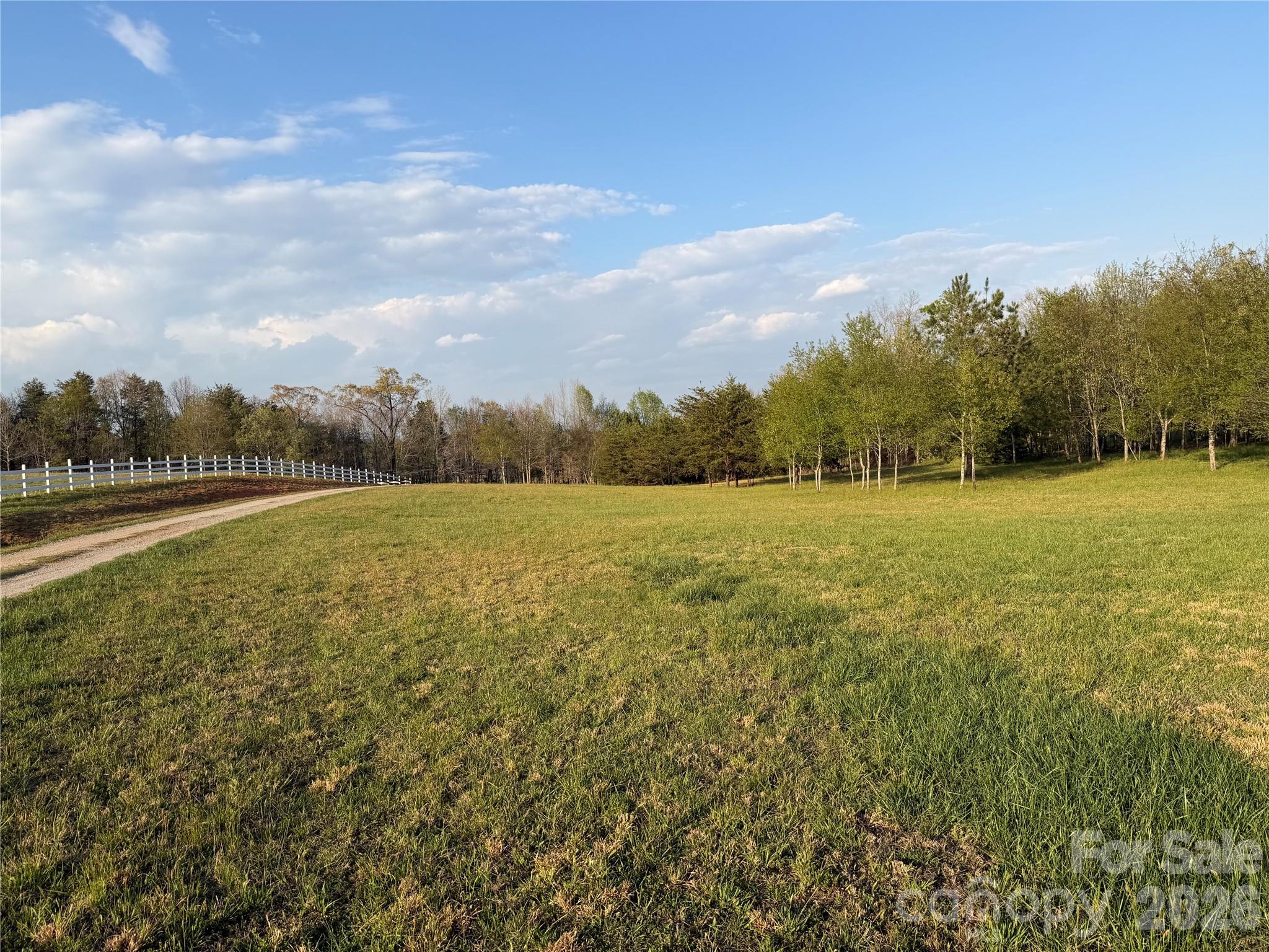a view of a field with an ocean