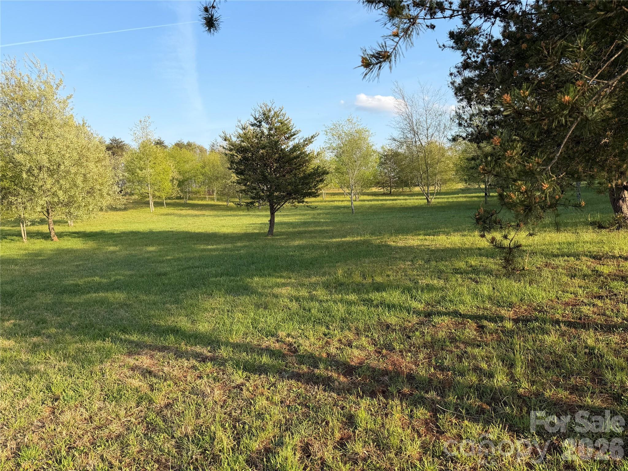 201 Blue Mountain Lane, Unit 1 Tryon, NC 28782 - Photo 2 of 9