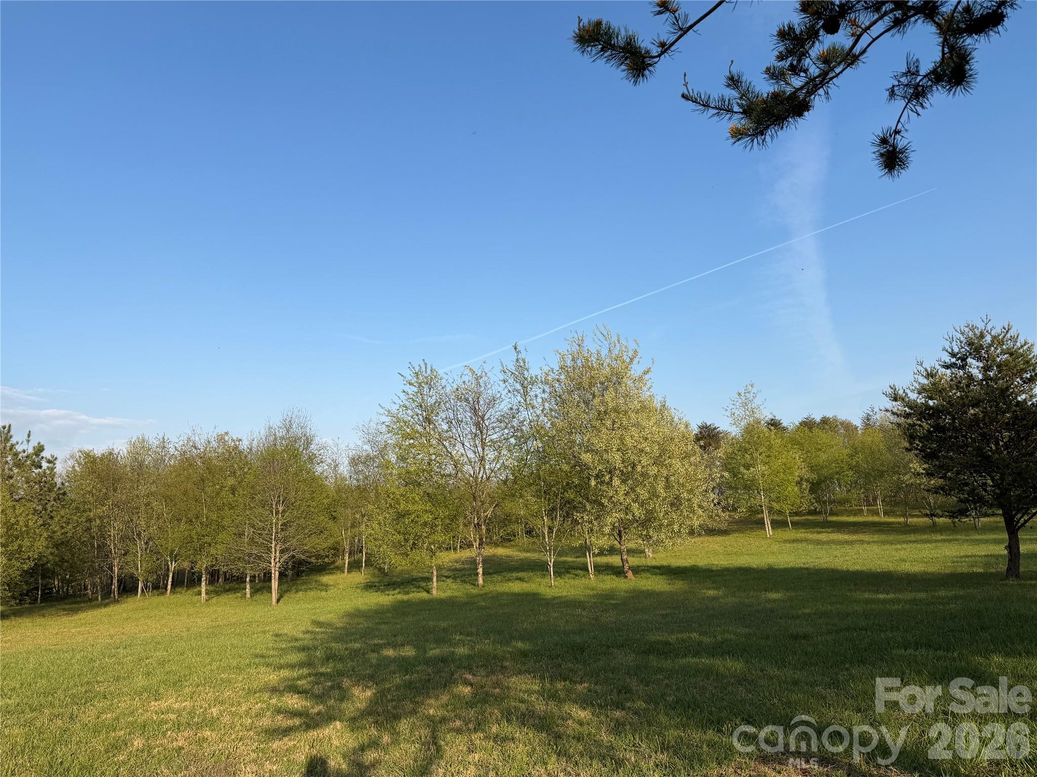 201 Blue Mountain Lane, Unit 1 Tryon, NC 28782 - Photo 3 of 9 a view of a park