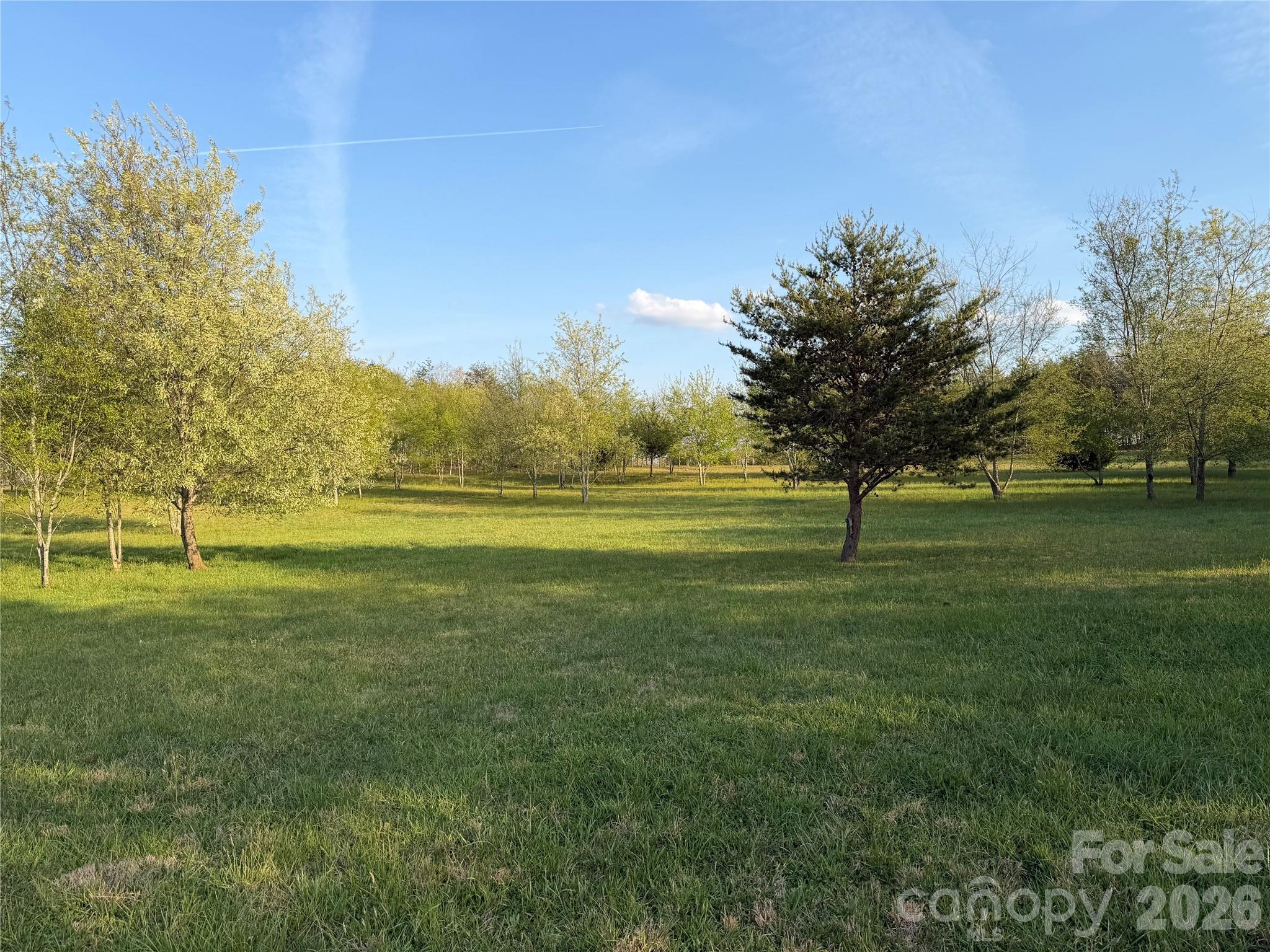 201 Blue Mountain Lane, Unit 1 Tryon, NC 28782 - Photo 4 of 9 a view of a golf course