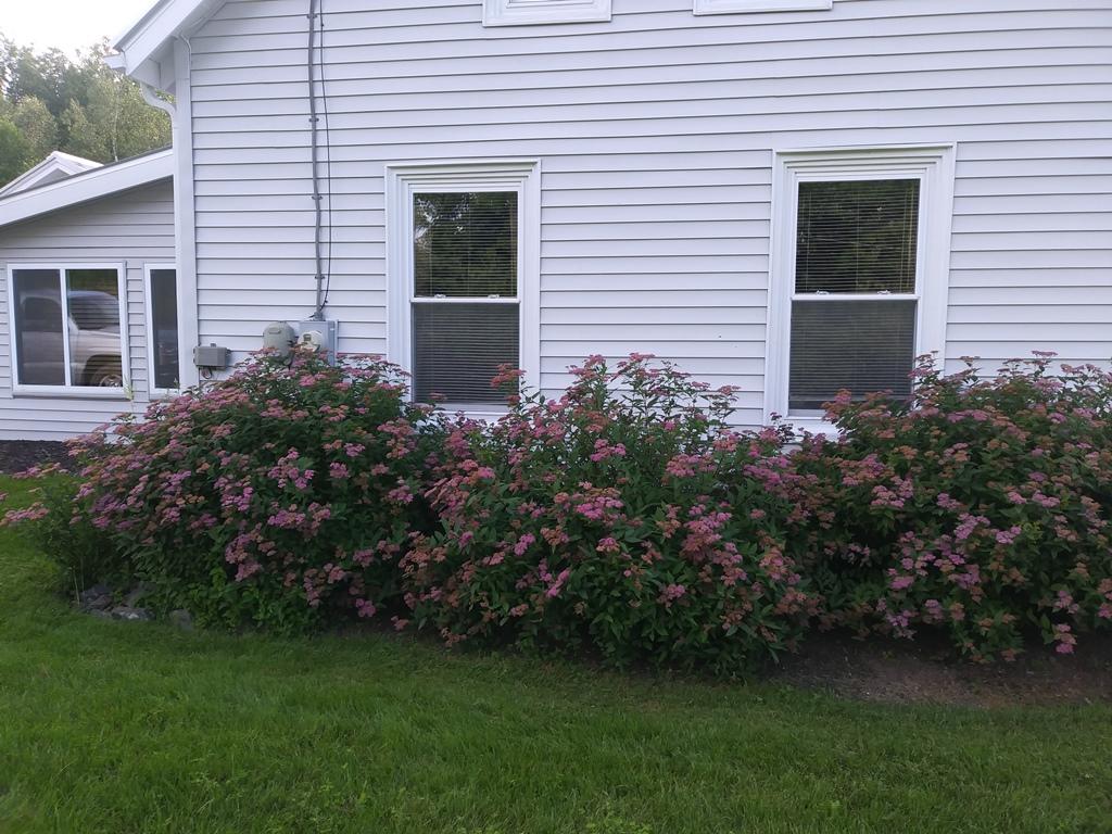 38 Hartland Road Canaan, ME 04924 - Photo 3 of 44 03