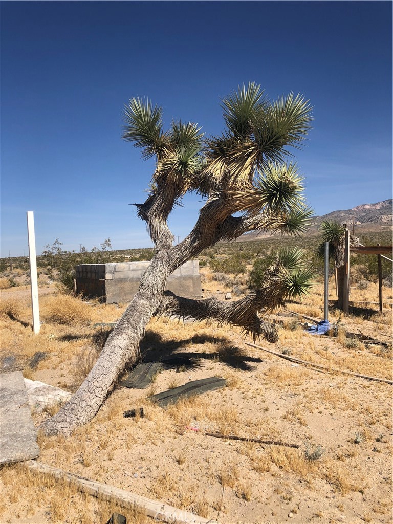 36939 Joy Road Lucerne Valley, CA 92356 - Photo 18 of 30 a view of a backyard of a house