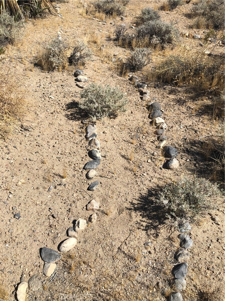 36939 Joy Road Lucerne Valley, CA 92356 - Photo 29 of 30 a view of a dry yard
