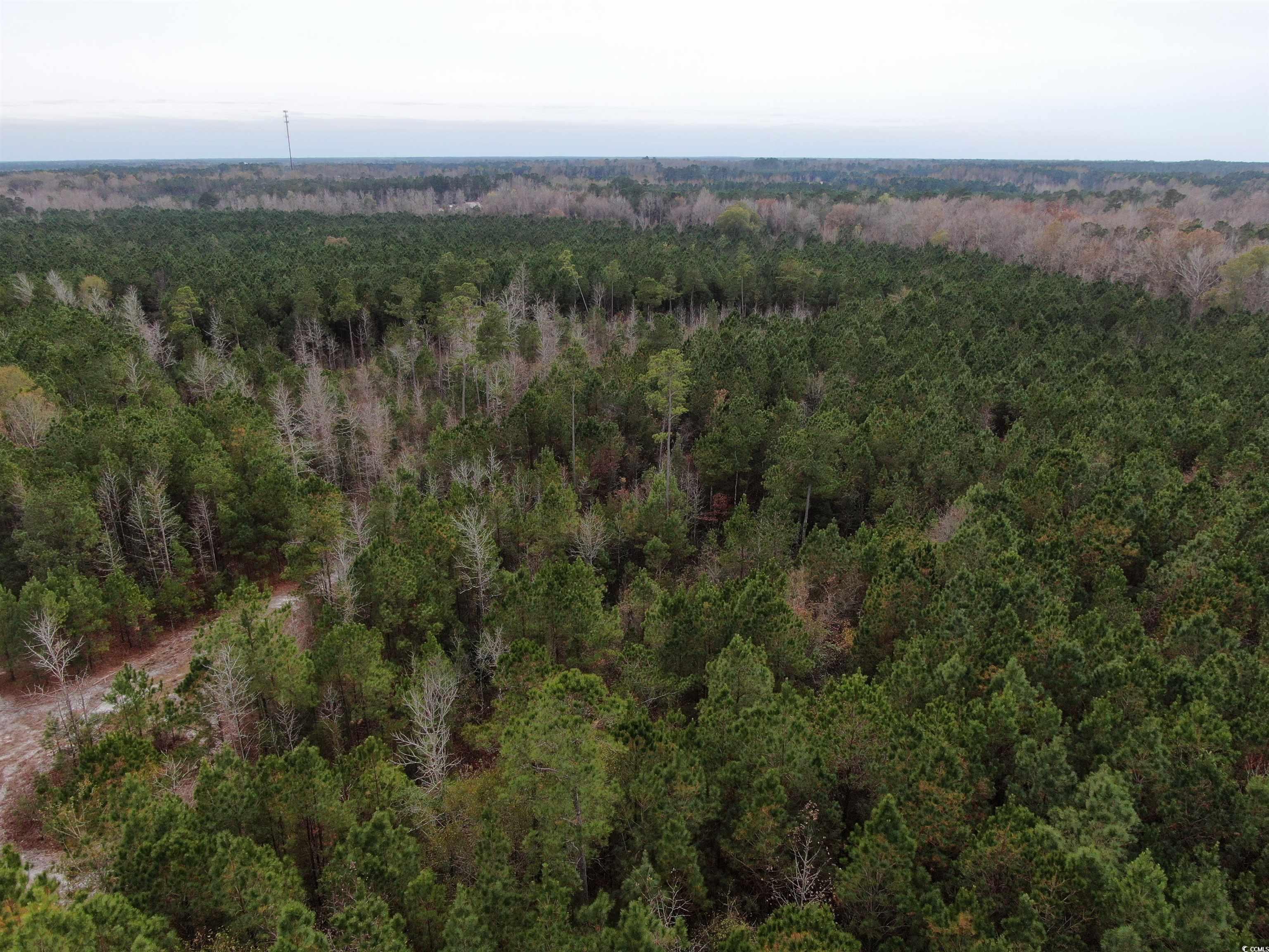 746 Highway 746 Loris, SC 29569 - Photo 8 of 26 Aerial overview of property's location featuring a heavily wooded area