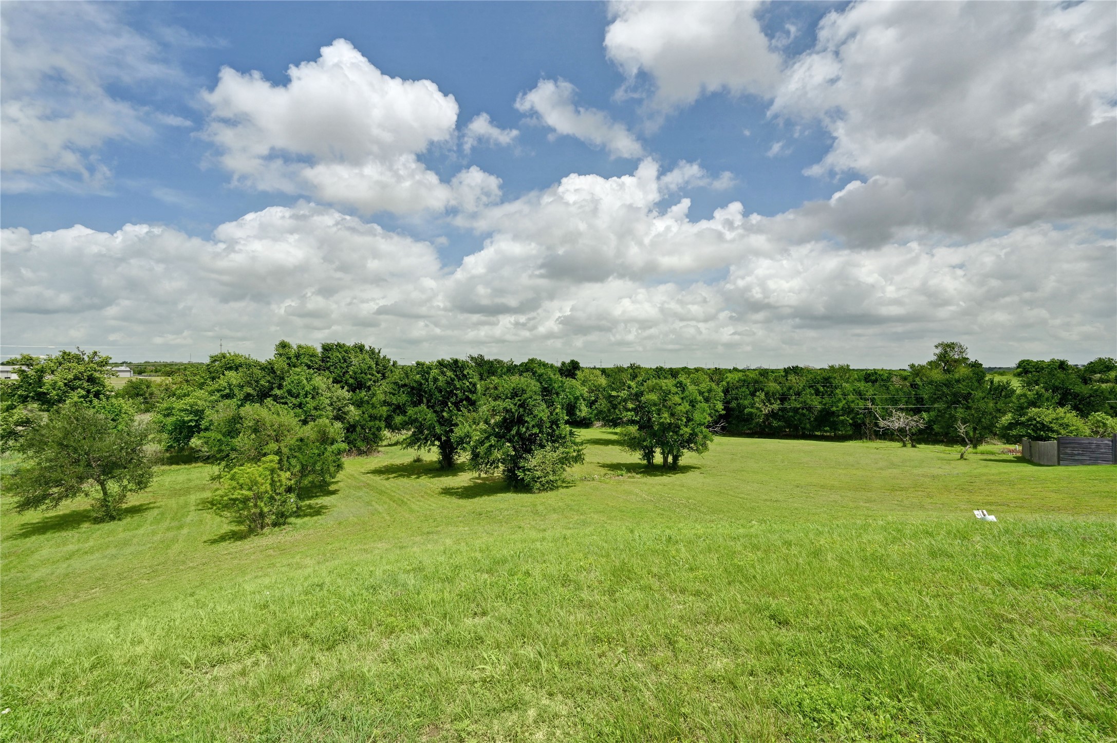 1700 Tanner Loop Taylor, TX 76574 - Photo 11 of 32 Expansive open field with scattered mature trees and a distant tree line