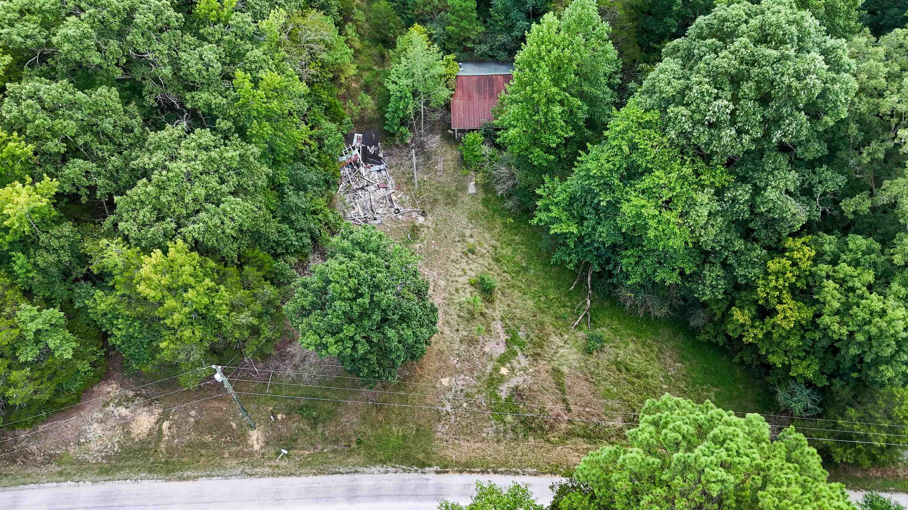 1090 Germany Branch Road Savannah, TN 38372 - Photo 12 of 21 Birds eye view of property
