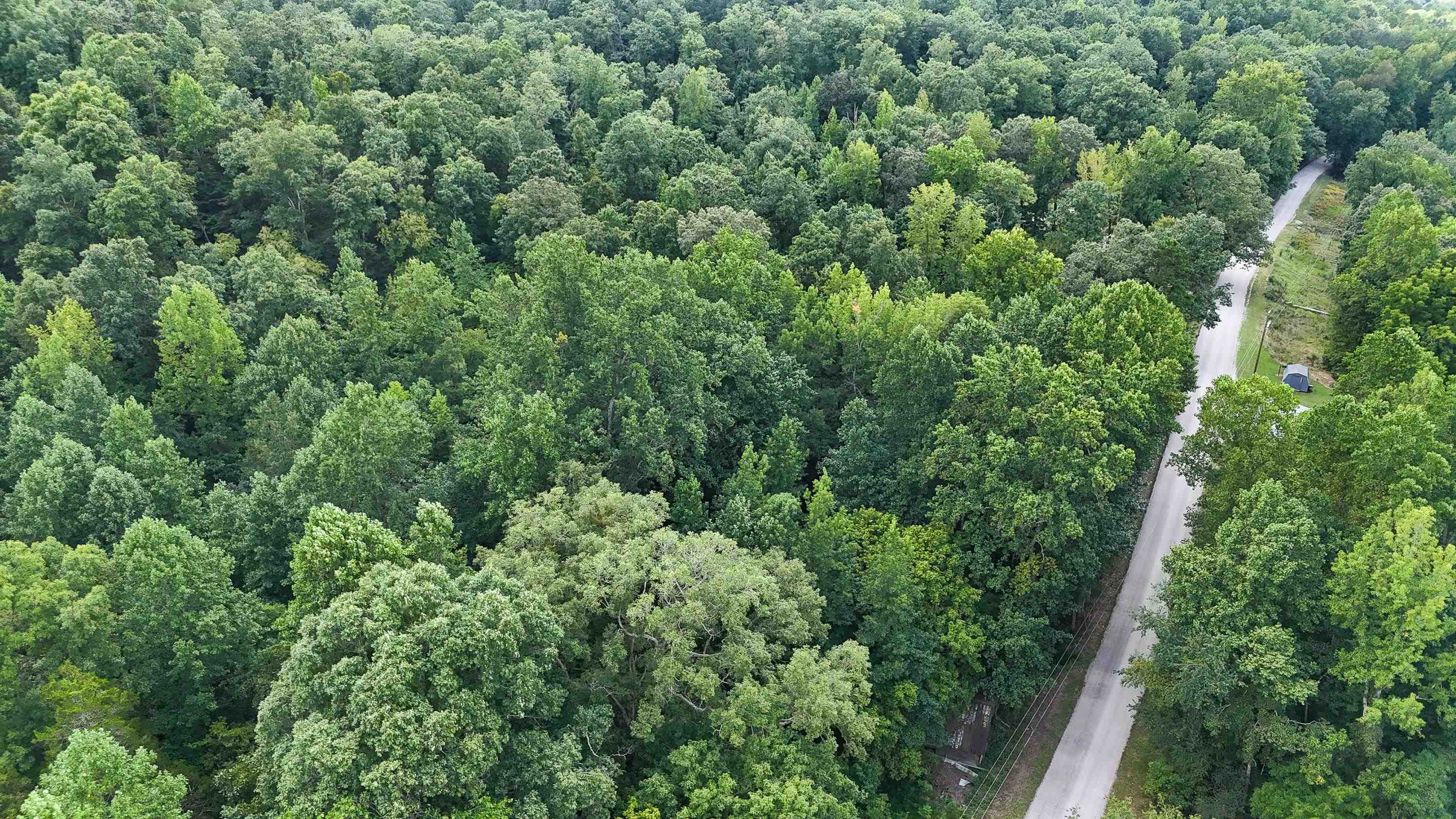 1090 Germany Branch Road Savannah, TN 38372 - Photo 13 of 21 Drone / aerial view