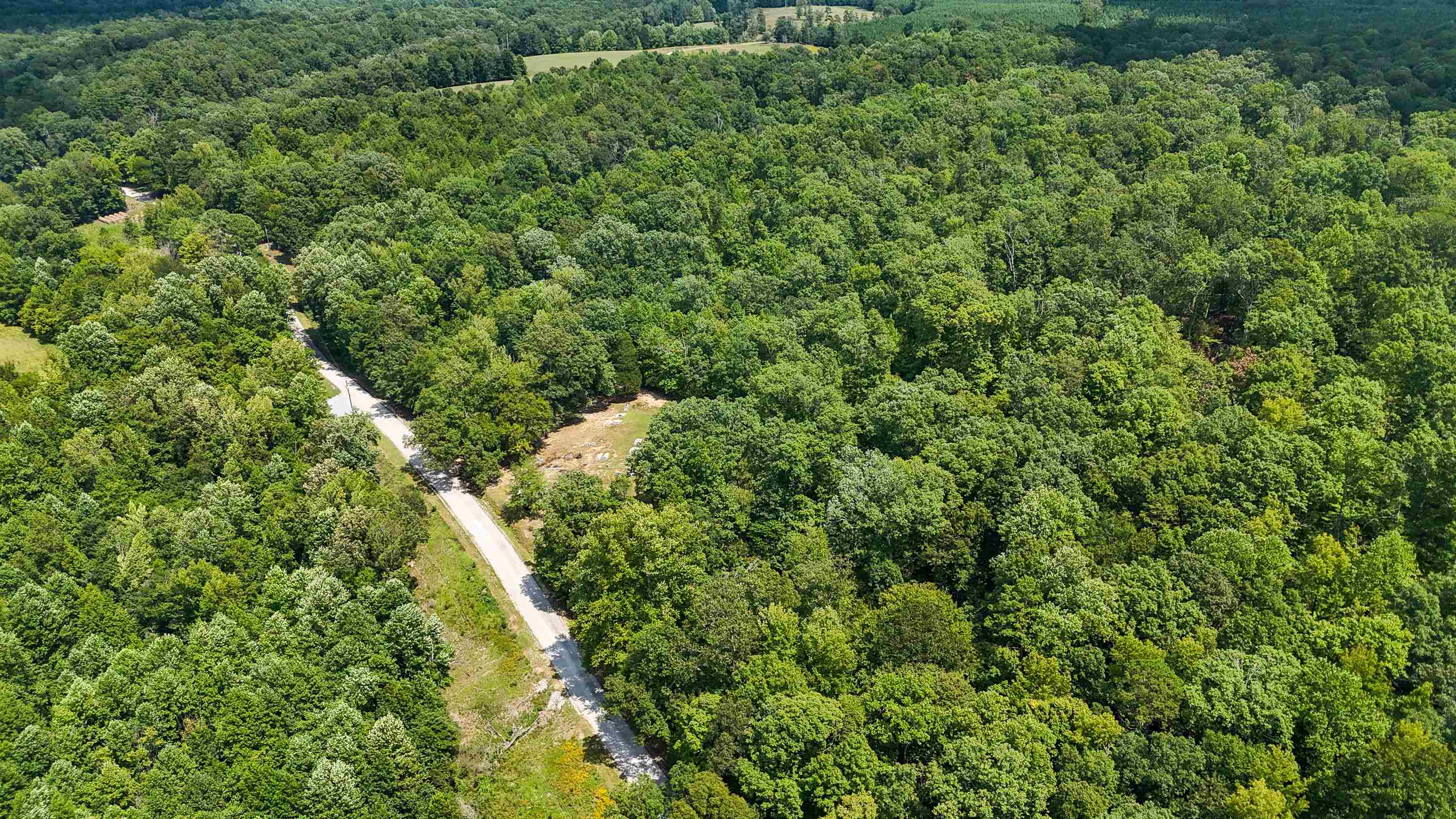 1090 Germany Branch Road Savannah, TN 38372 - Photo 15 of 21 Bird's eye view