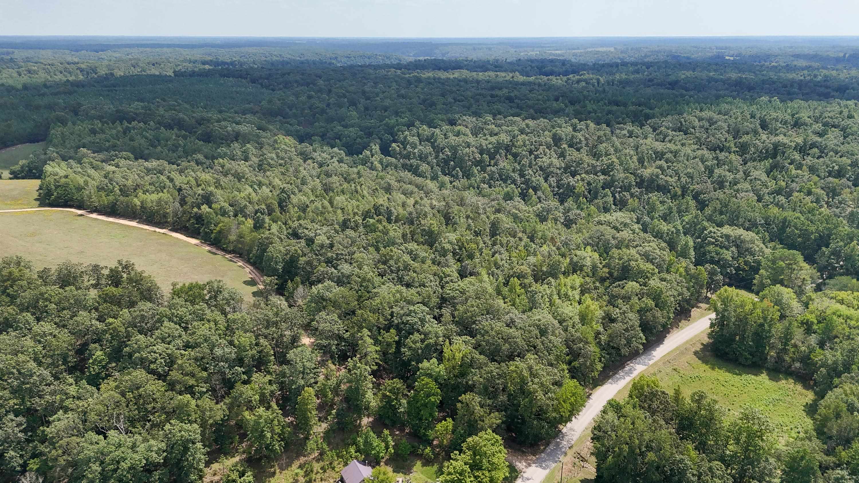 1090 Germany Branch Road Savannah, TN 38372 - Photo 18 of 21 Aerial view