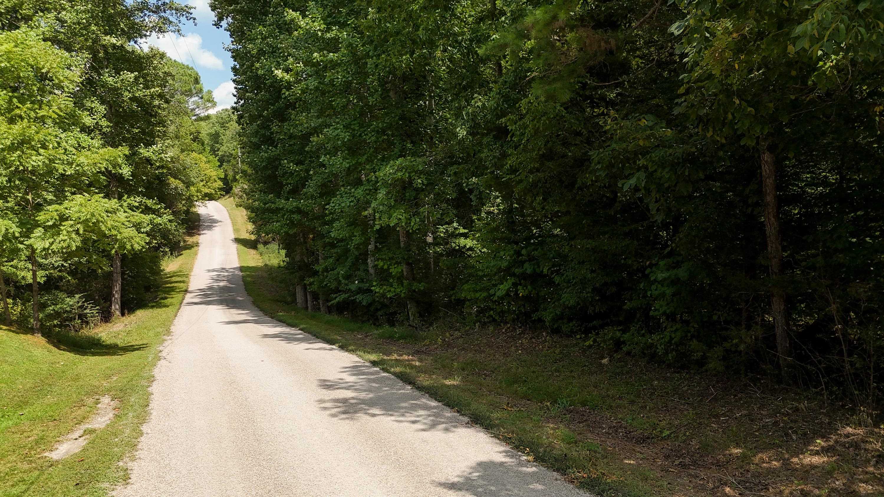 1090 Germany Branch Road Savannah, TN 38372 - Photo 21 of 21 View of road