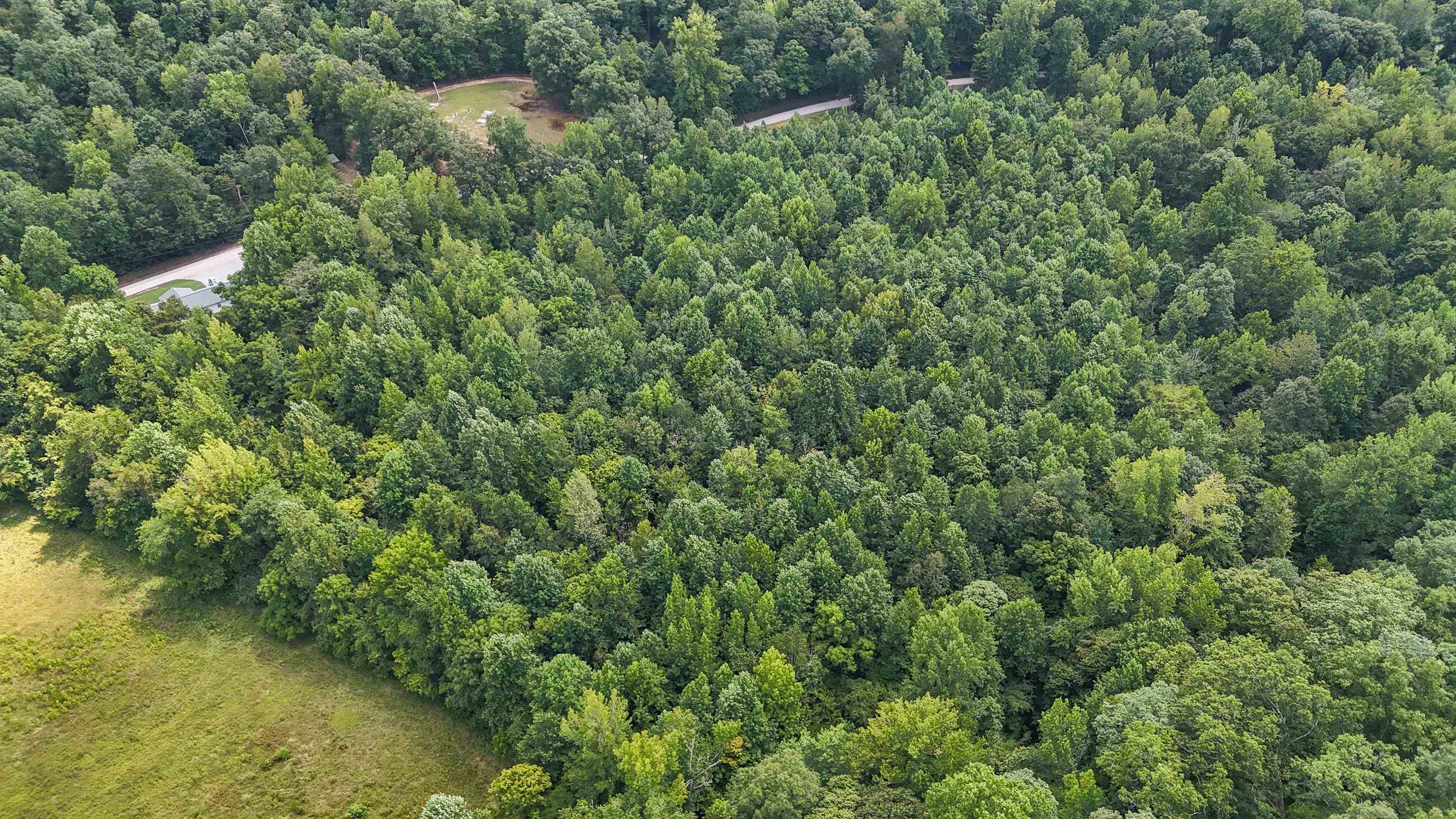 1090 Germany Branch Road Savannah, TN 38372 - Photo 3 of 21 Drone / aerial view