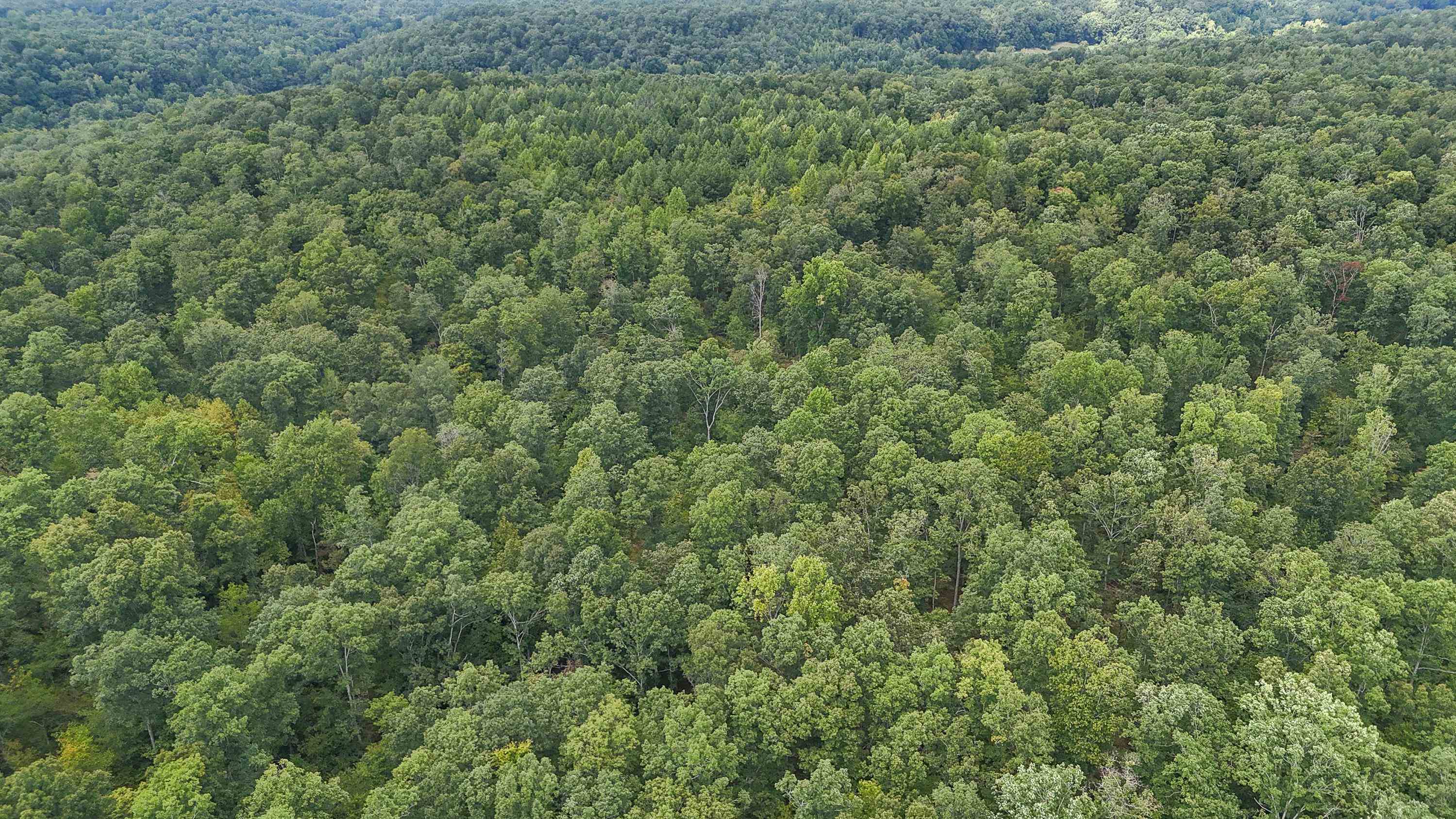 1090 Germany Branch Road Savannah, TN 38372 - Photo 4 of 21 Drone / aerial view