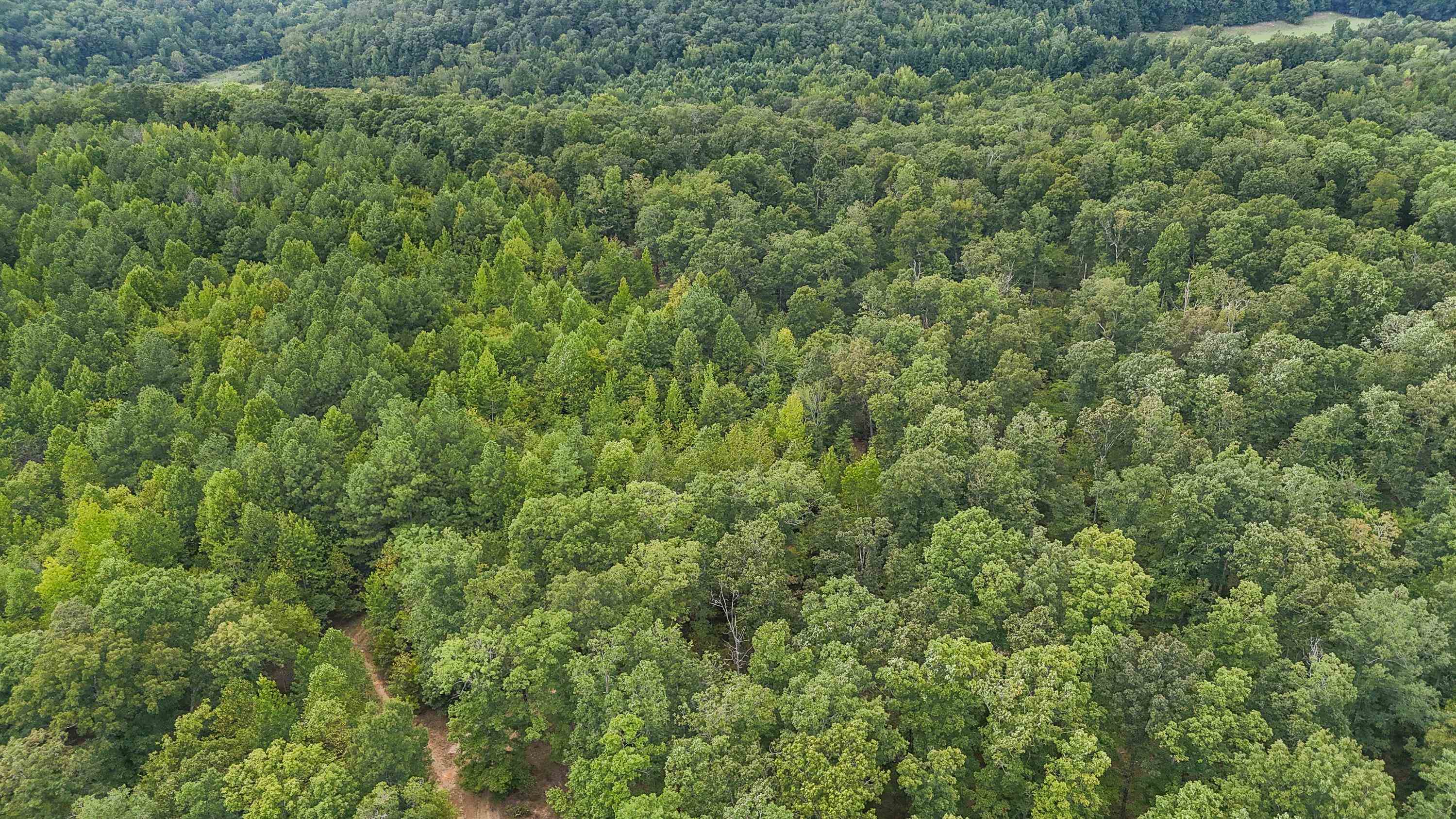 1090 Germany Branch Road Savannah, TN 38372 - Photo 5 of 21 Birds eye view of property